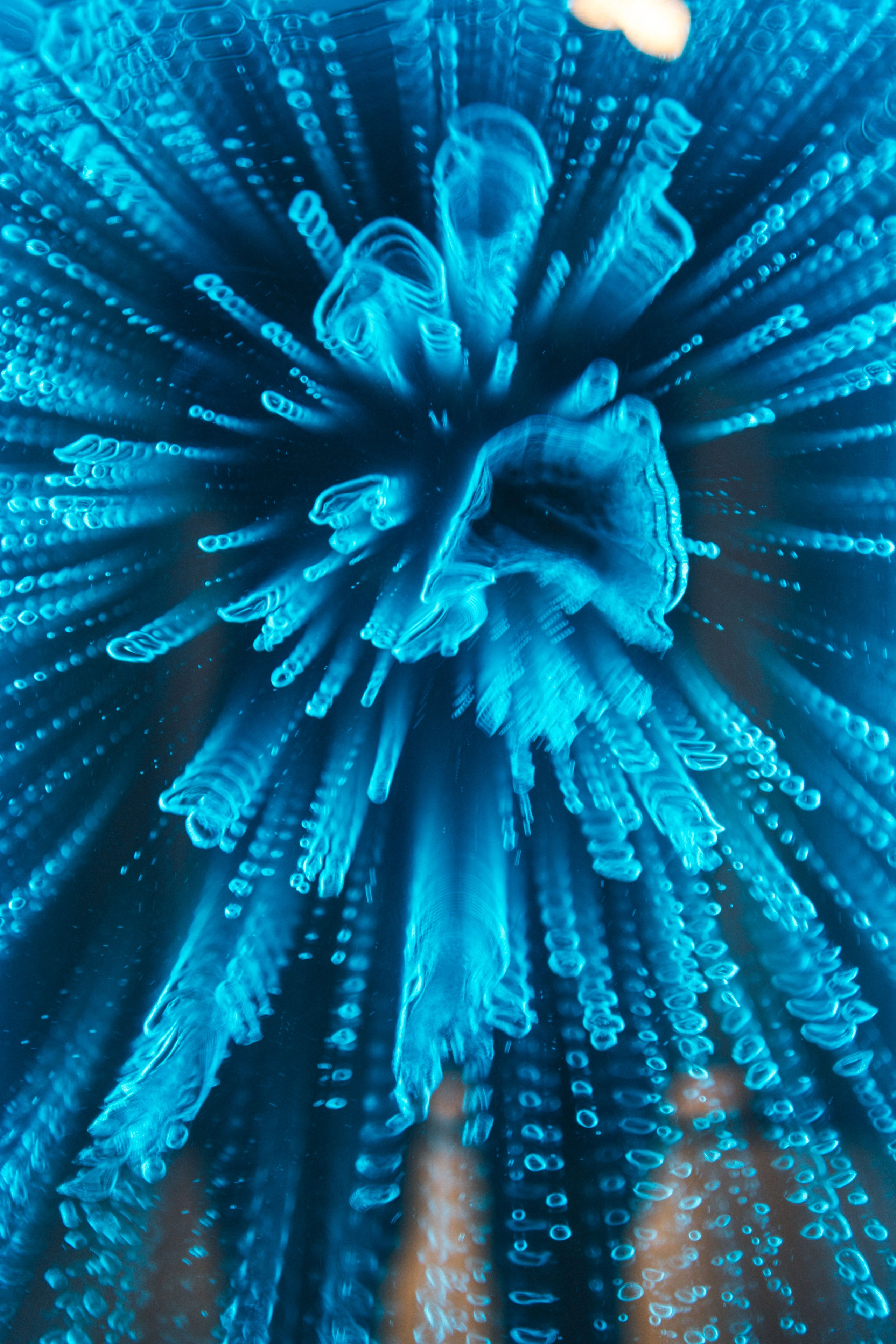 The Cove Indoor Play, New Westminster| Burnaby Portrait Photographer