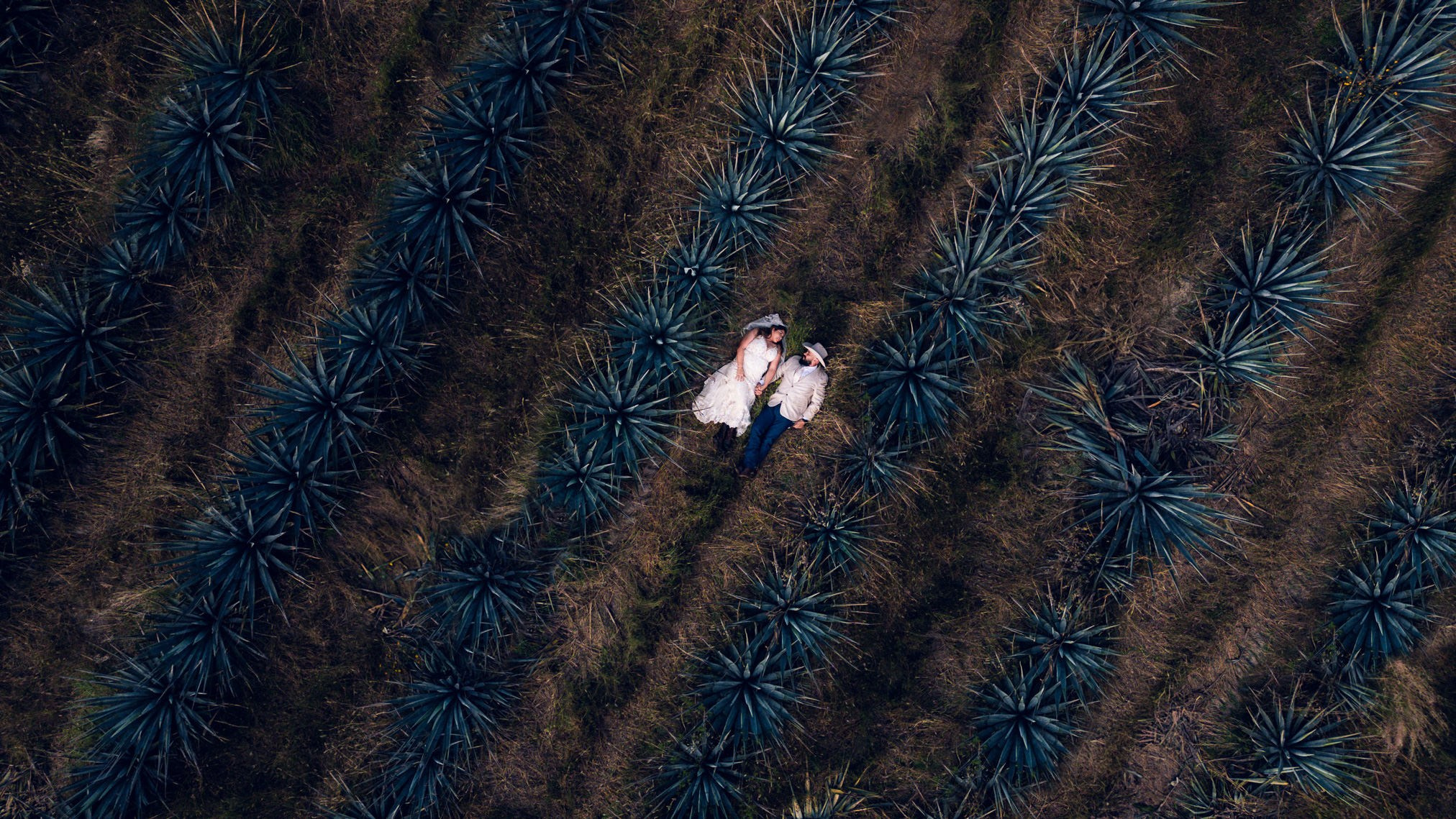 Aguascalientes / Jalisco Trash The Dress Viviana y Jesse. Estudio de fotografia en Tijuana