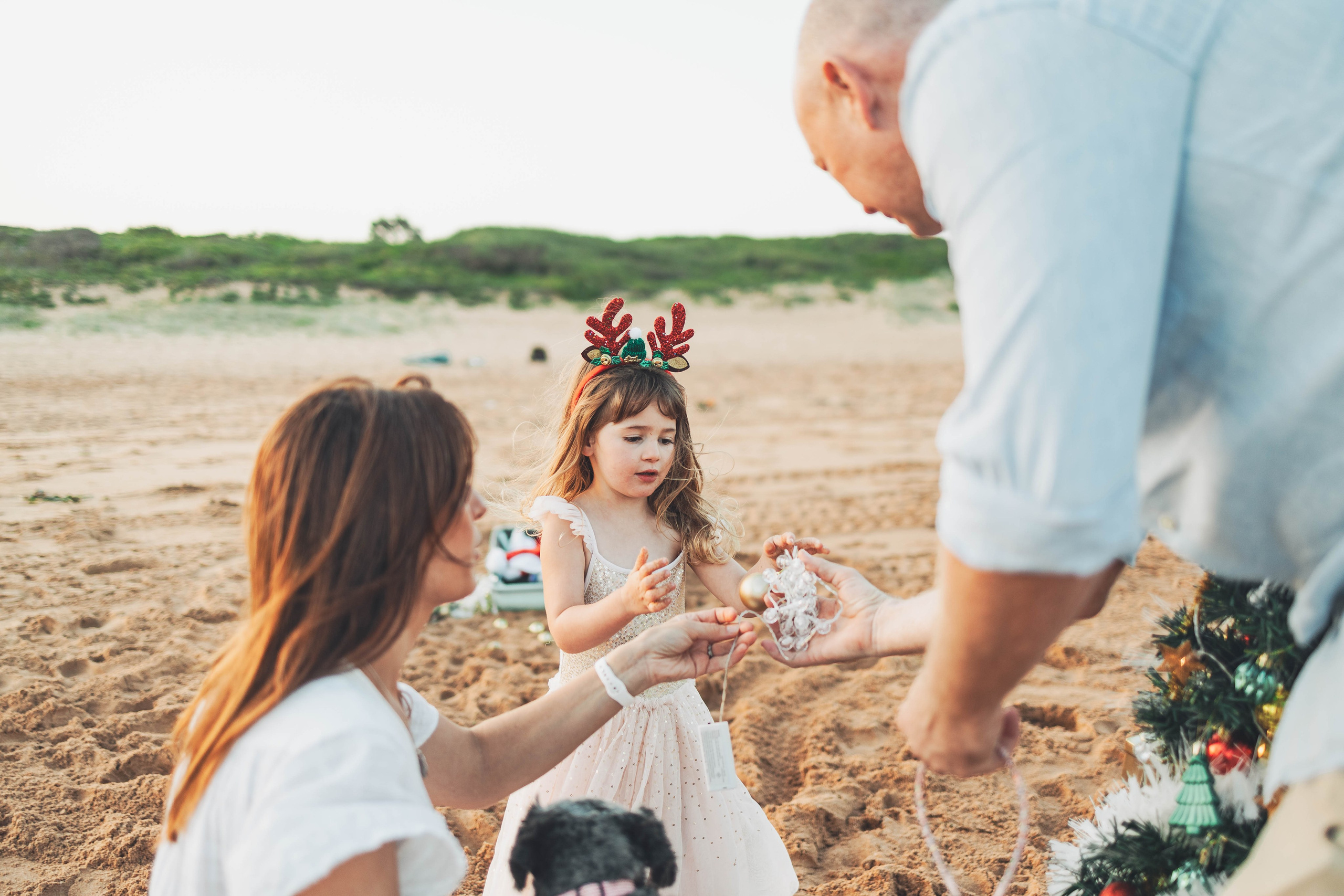 Kat + Andrew + Bella + Roxie. True Story Photography