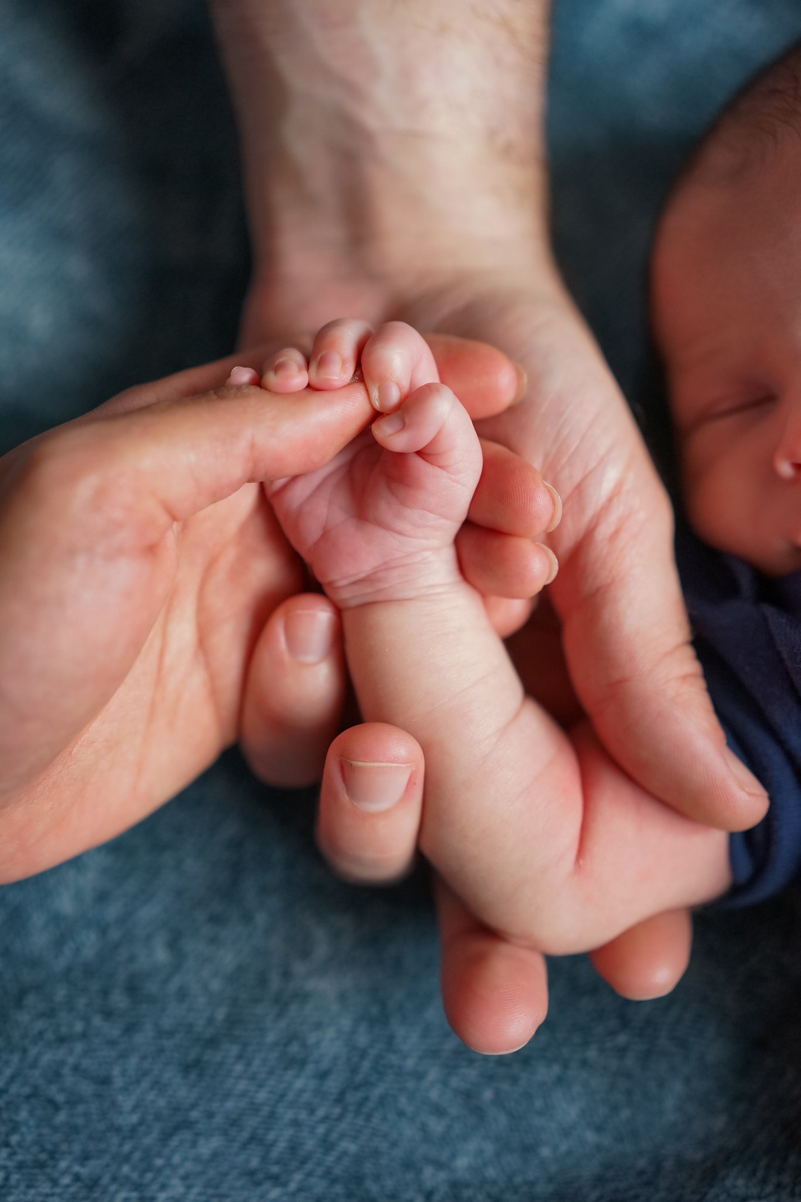 Newborn+Family. Maternity, family and newborn photography in San Francisco Bay Area