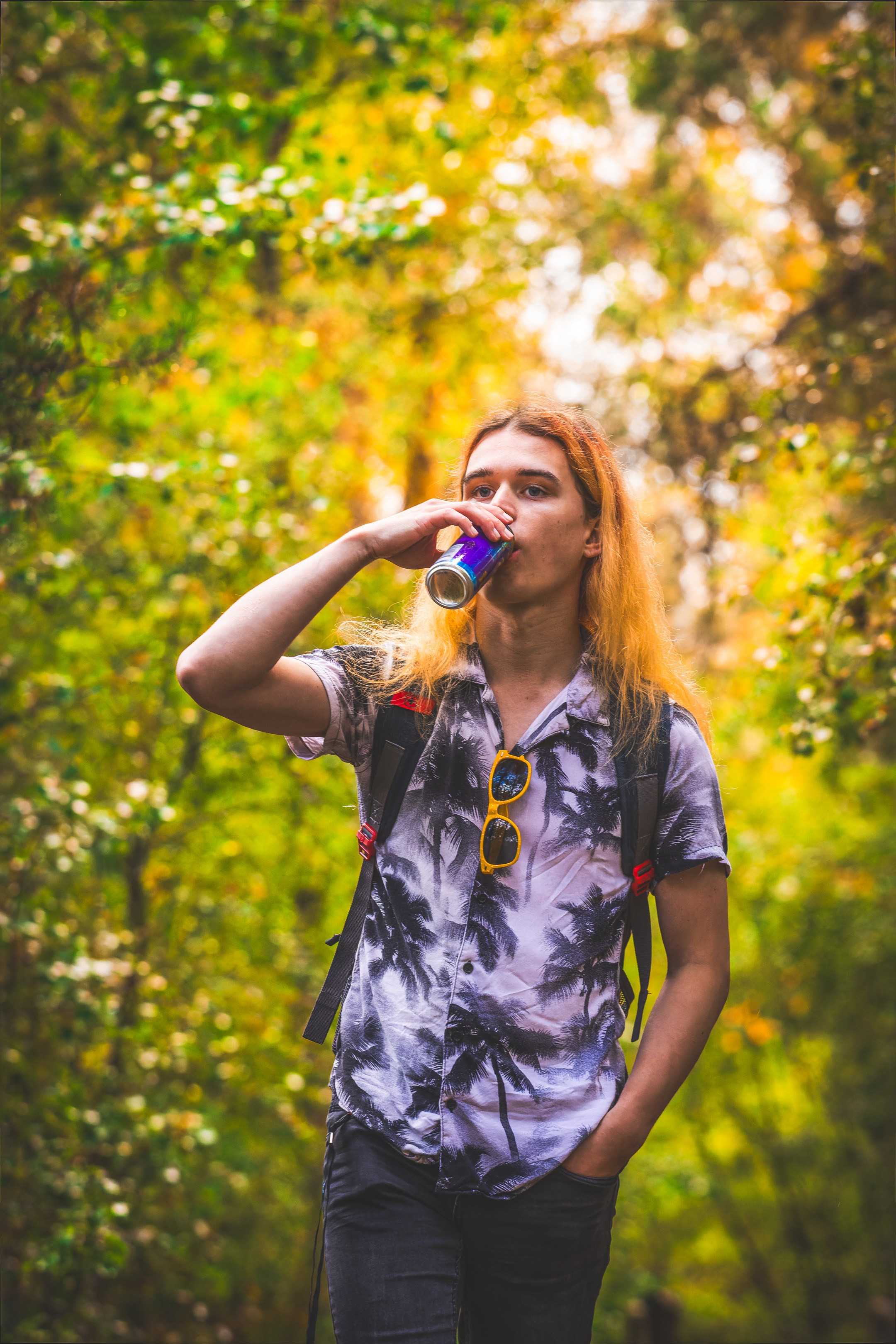 Mets, vihm ja jahedus (Dimitry). Nebula 25 — Fotod teie hingele