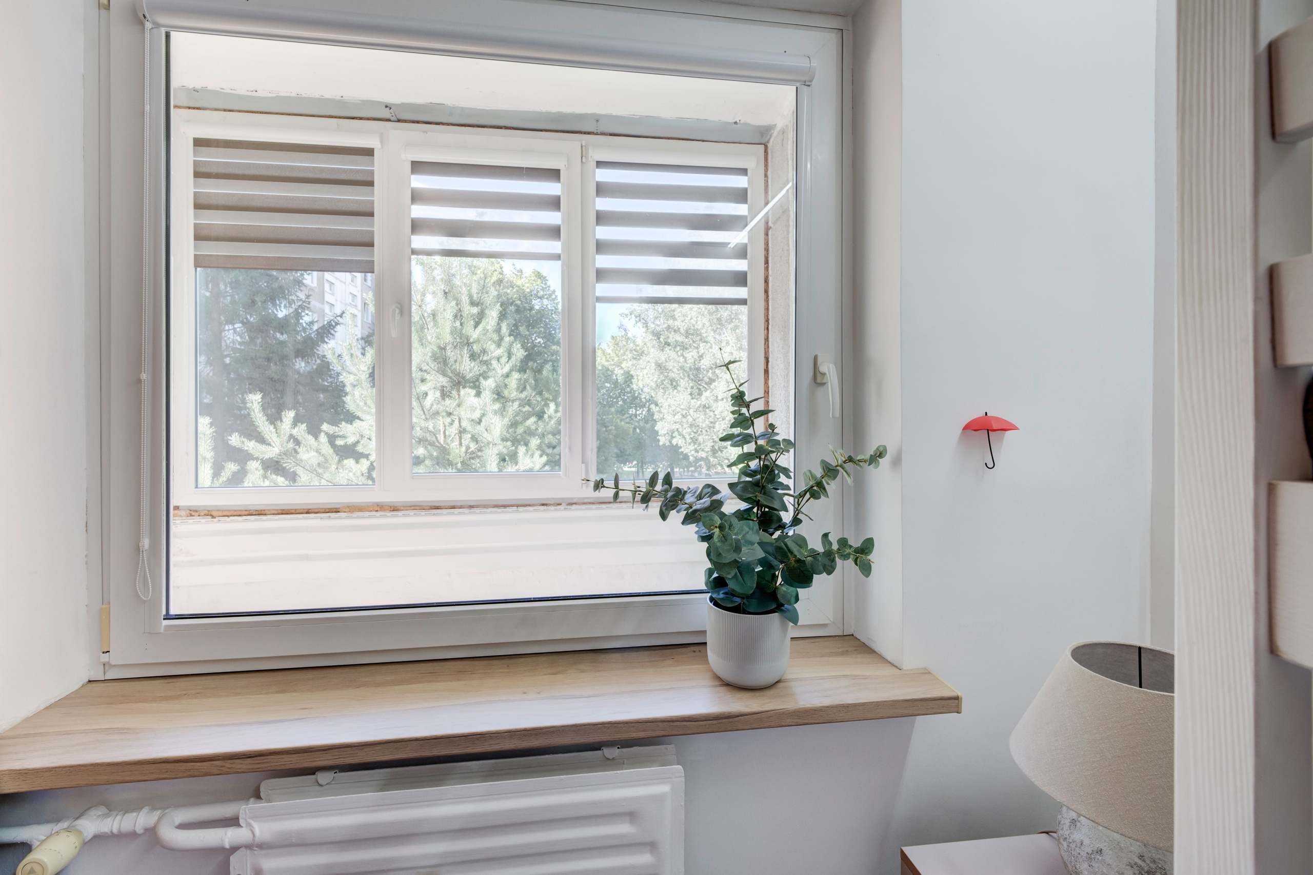 Gabijos g. Elina Sapiega fotografė Vilniuje