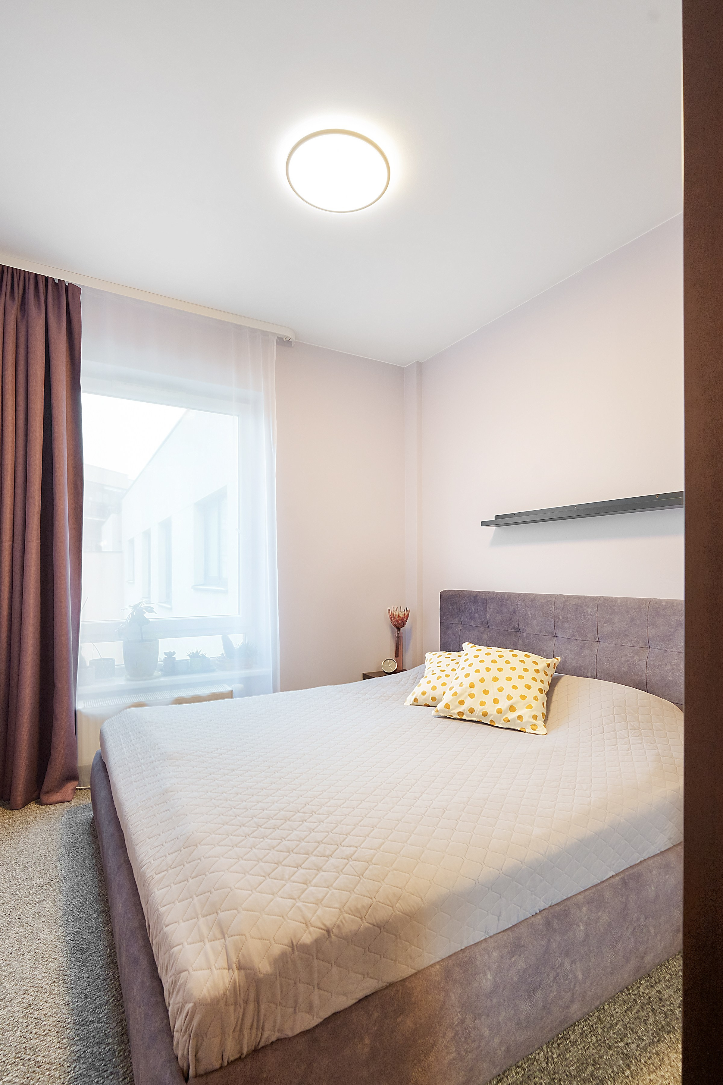 Bajorų kelias 1. Elina Sapiega fotografė Vilniuje