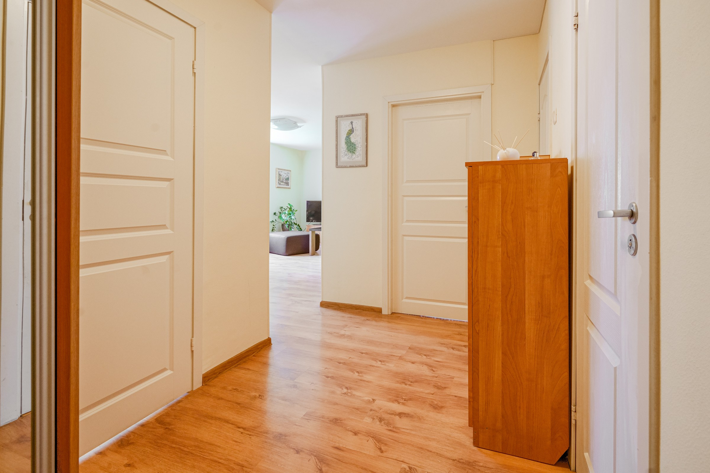 Ateities g. 1. Elina Sapiega fotografė Vilniuje