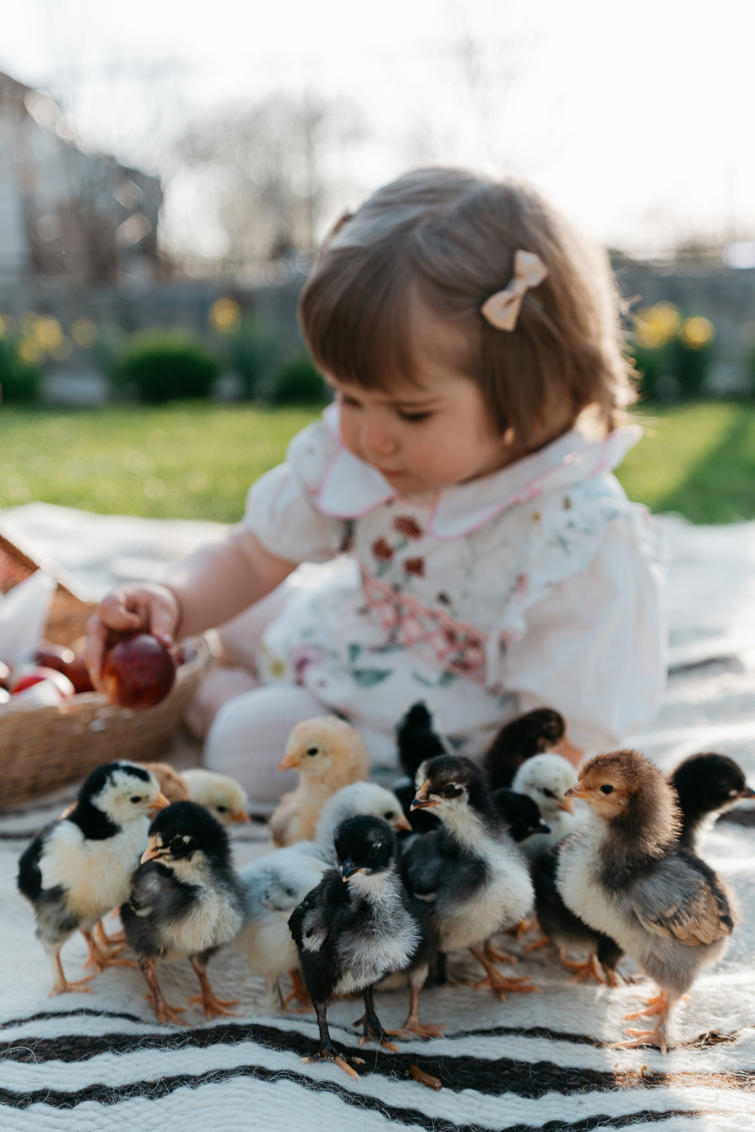 EASTER. Ars Vidi | Digital Solutions