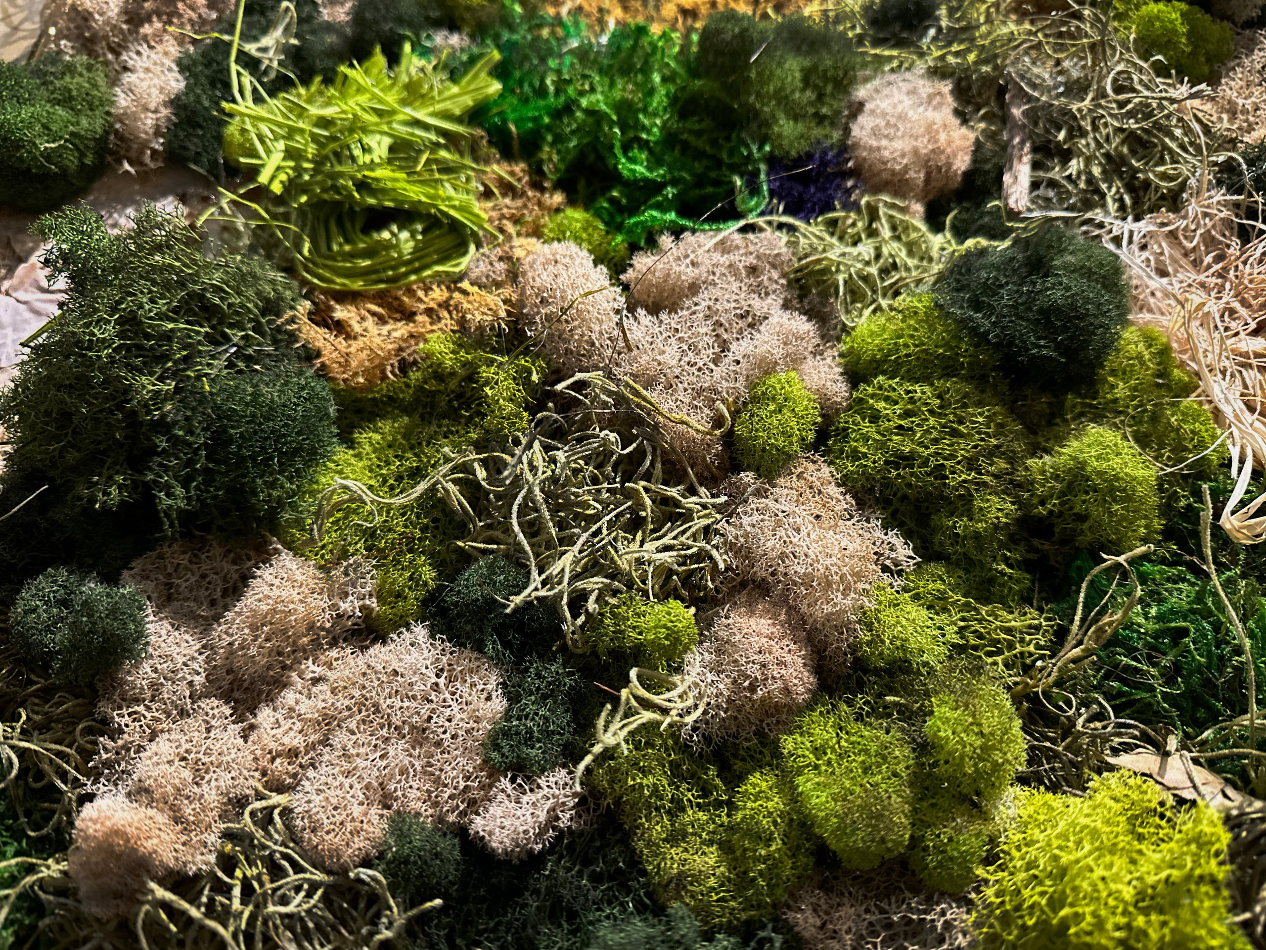 Anna & Moss magic, Content. Yana Bobrova | Artistic Photography