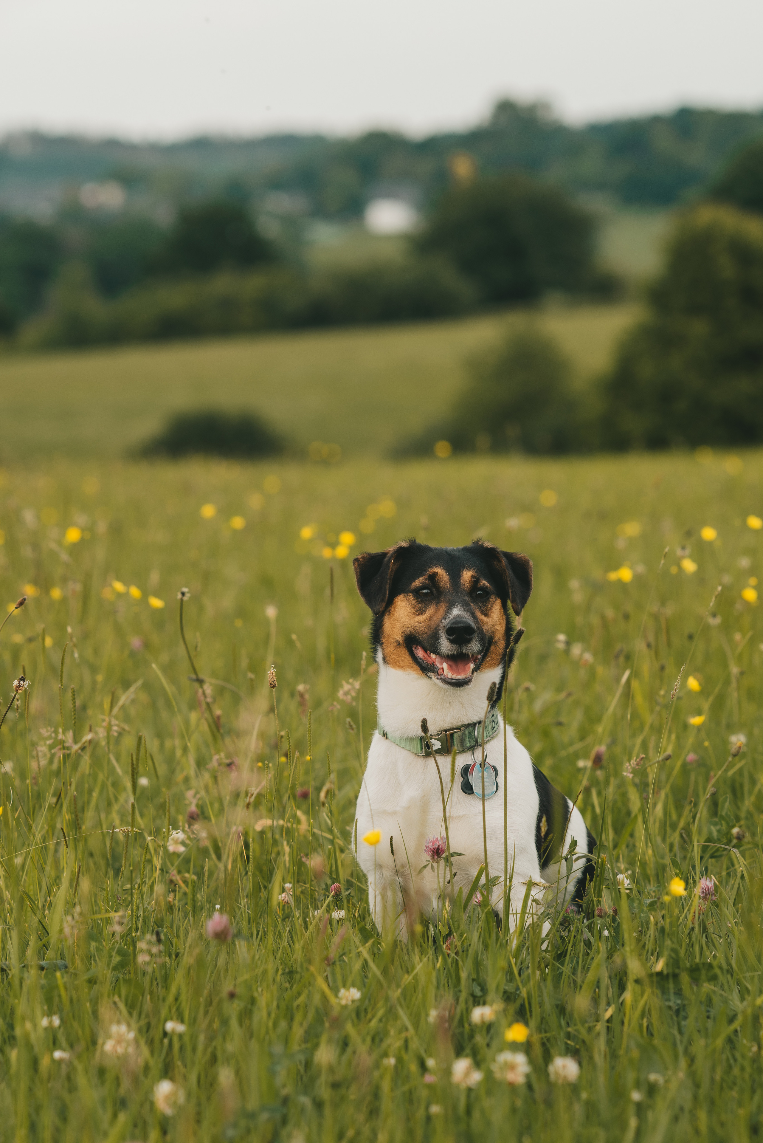 Nadine&Balu. Olga Fraske Fotografin in Köln/Bonn & deutschlandweit