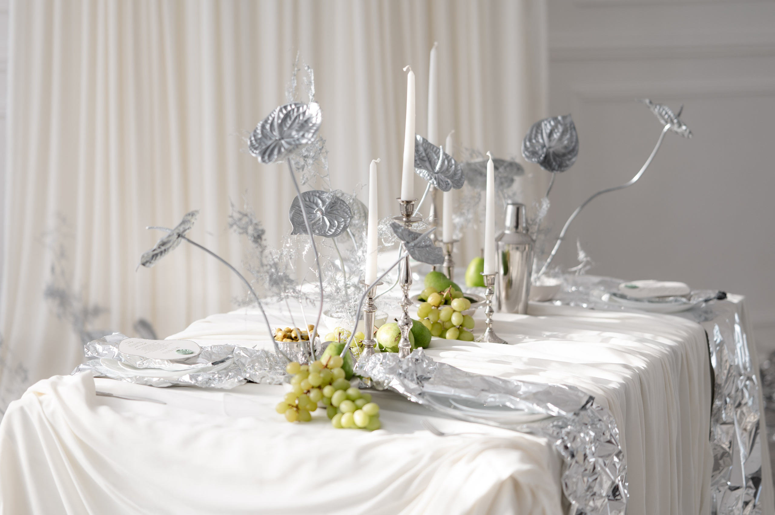 Bride with a concept silver Chrome. Alexandra Hanu Photographer