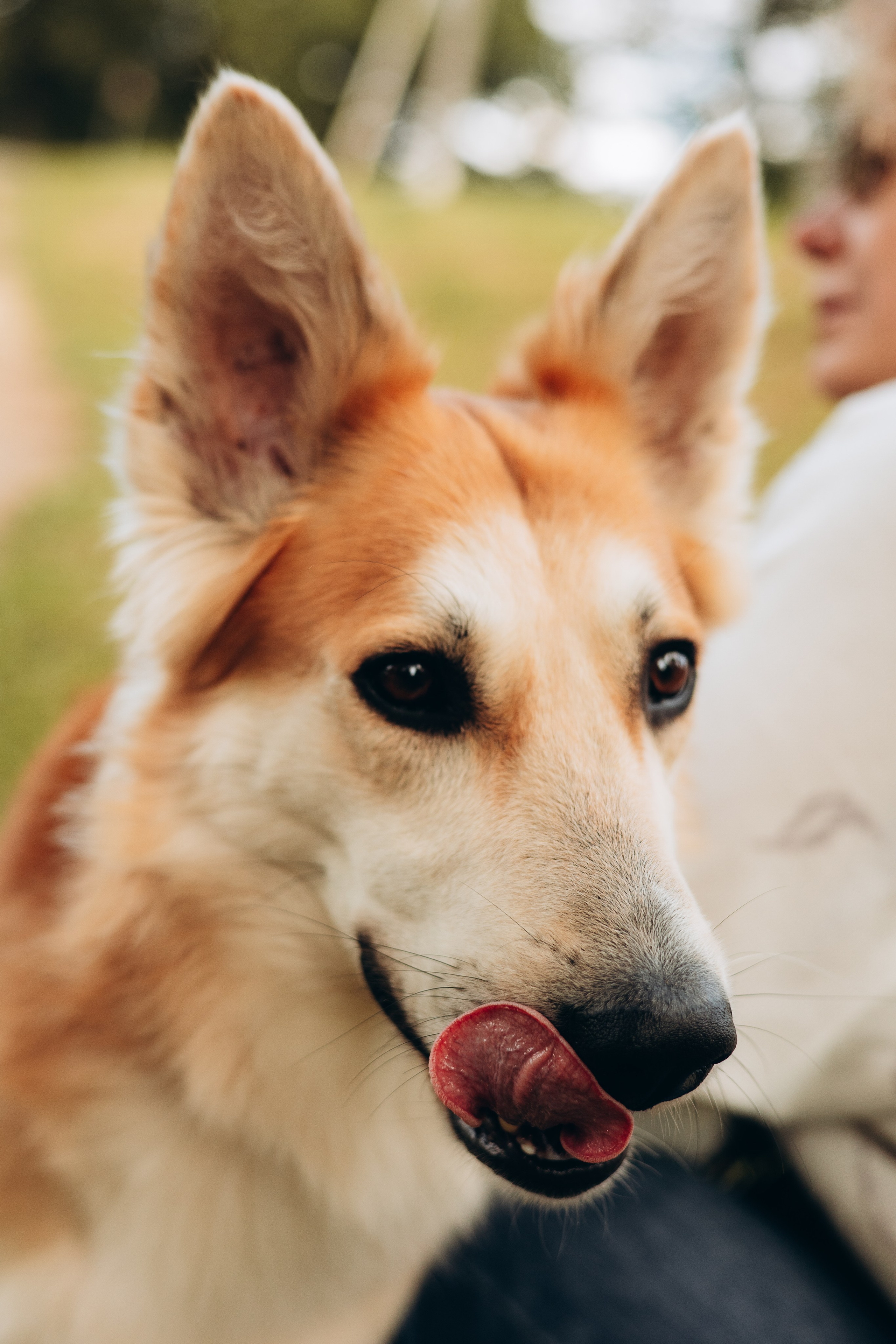 Максим, Наталья и Тим. Фотограф-анималист | Белград