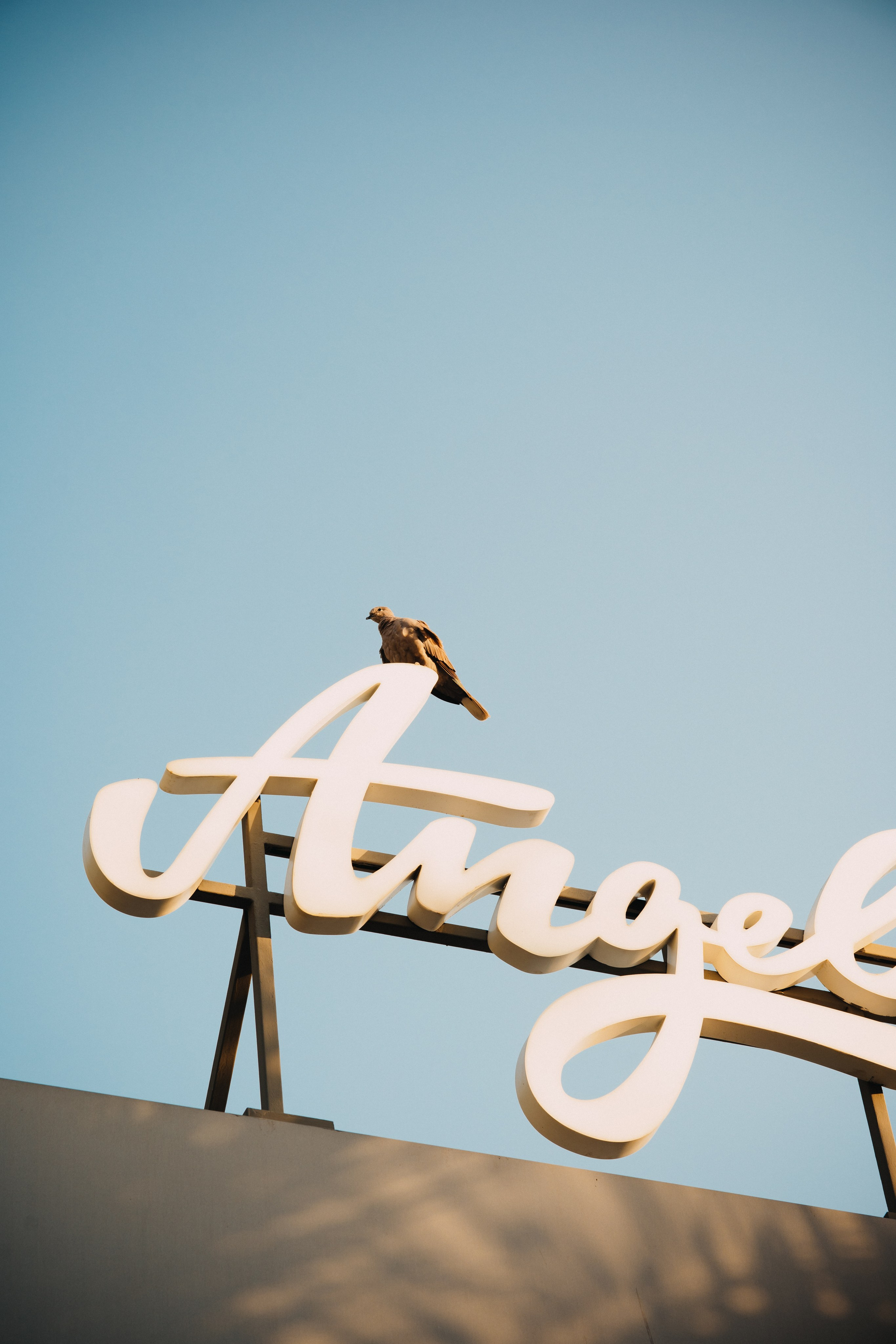 Aurora. Elena Pretzner Photography