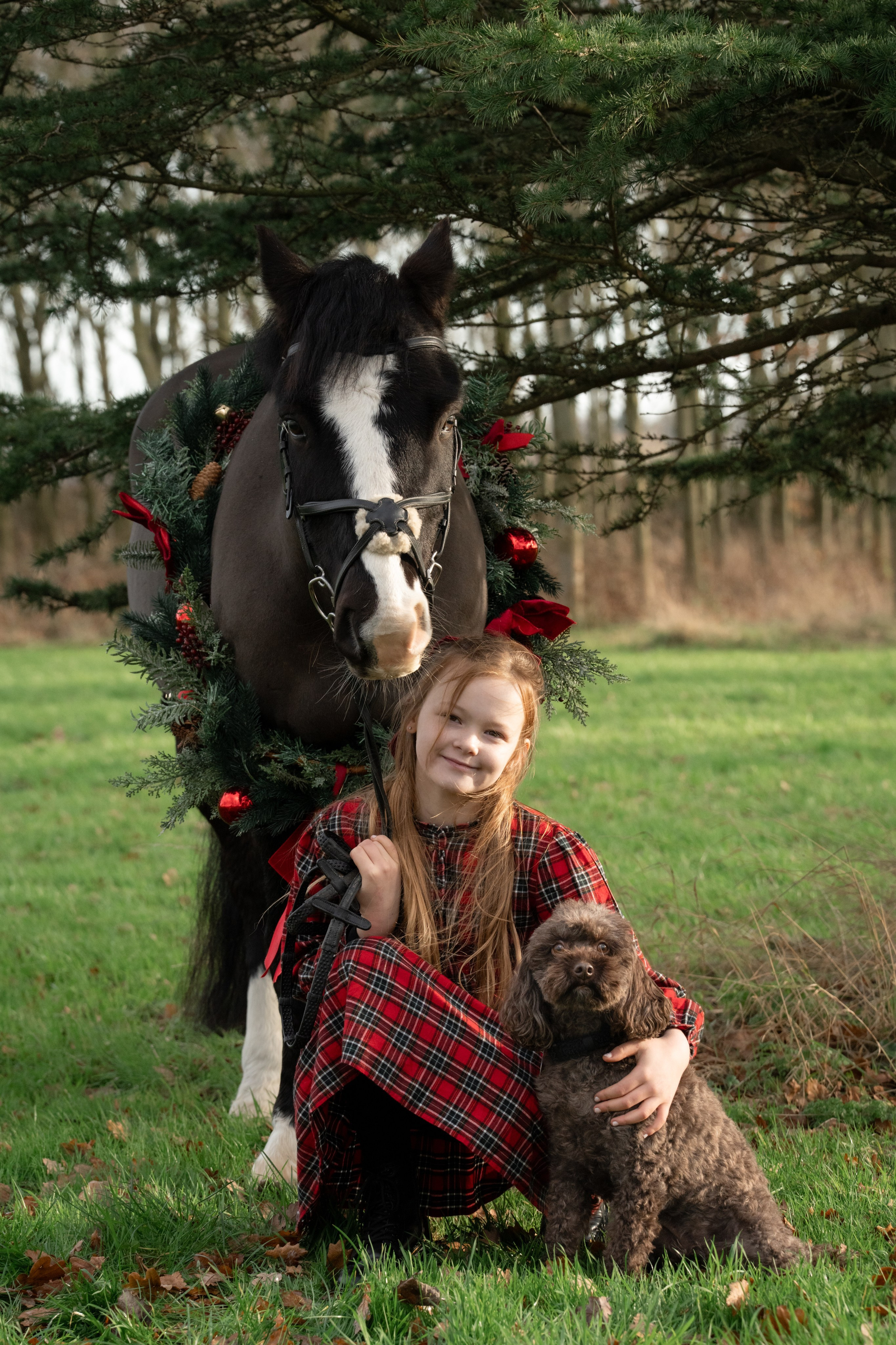 Leicestershire Equine Photography by El | Authentic Equine Portraits & Events