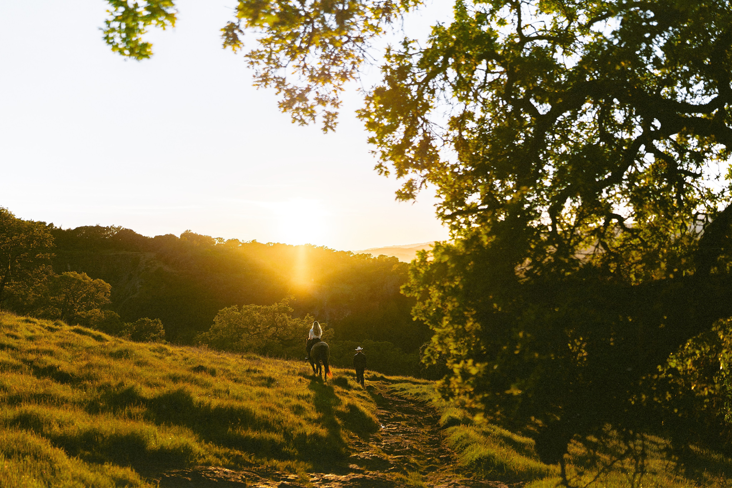 Engagement with Horses, Napa, Northern California. Wedding Photography & Videography Team in California, Los Angeles, San Francisco, San Diego and Travel