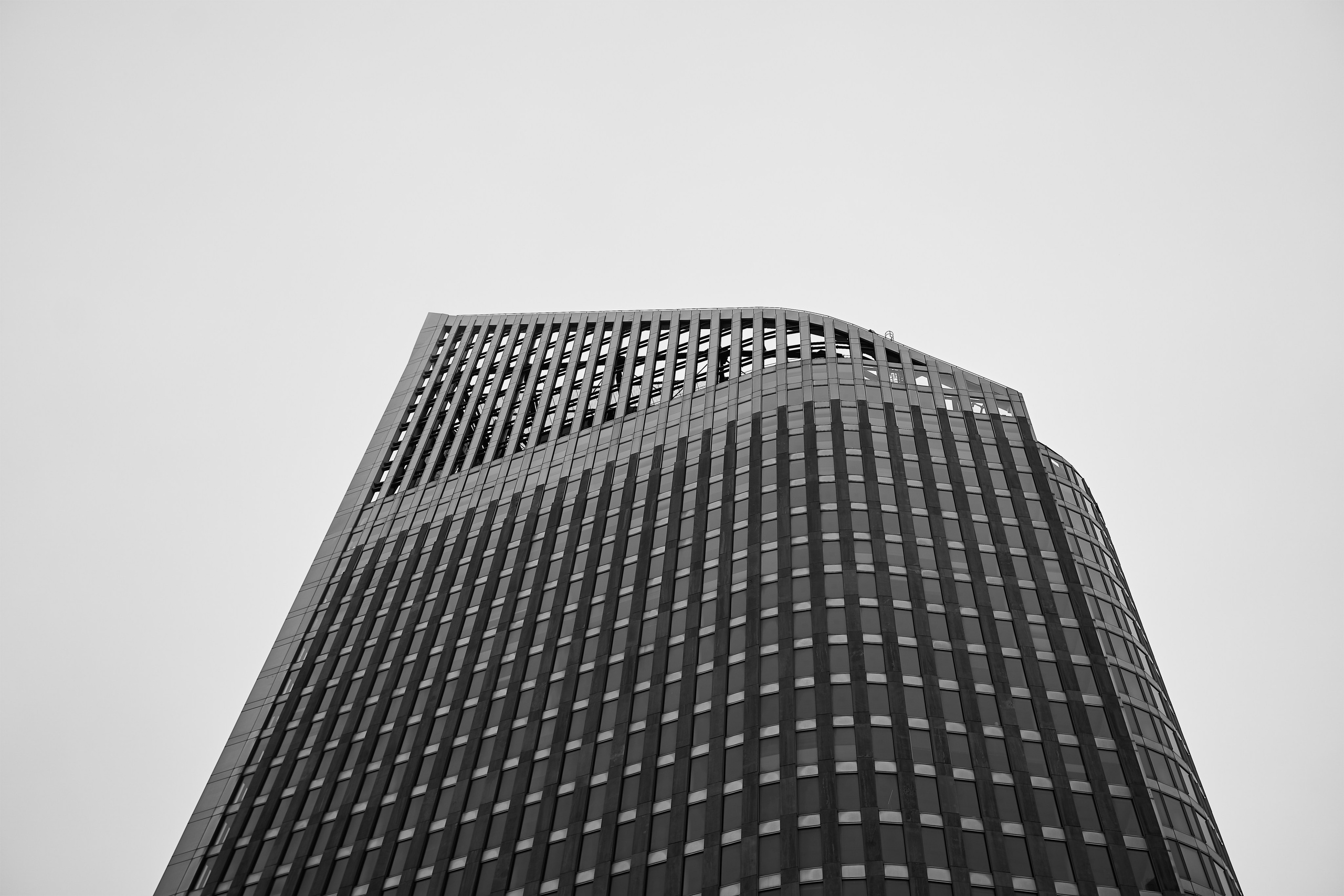 Netherlands. Denshyr — Visual Artist