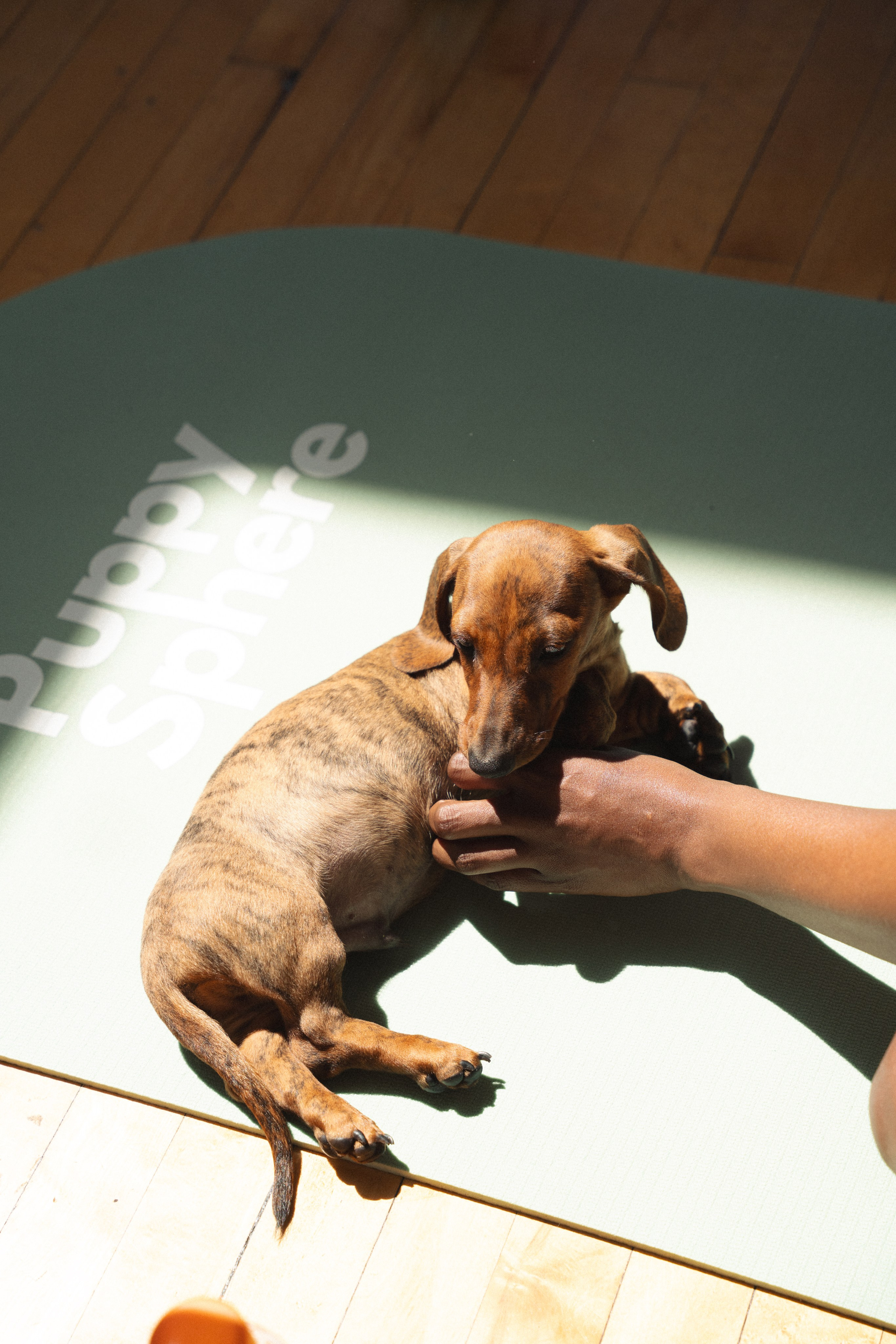 Yoga event in Los Angeles. Event photographer. Events in Los Angeles. Fitness event in Los Angeles. Fitness event photographer