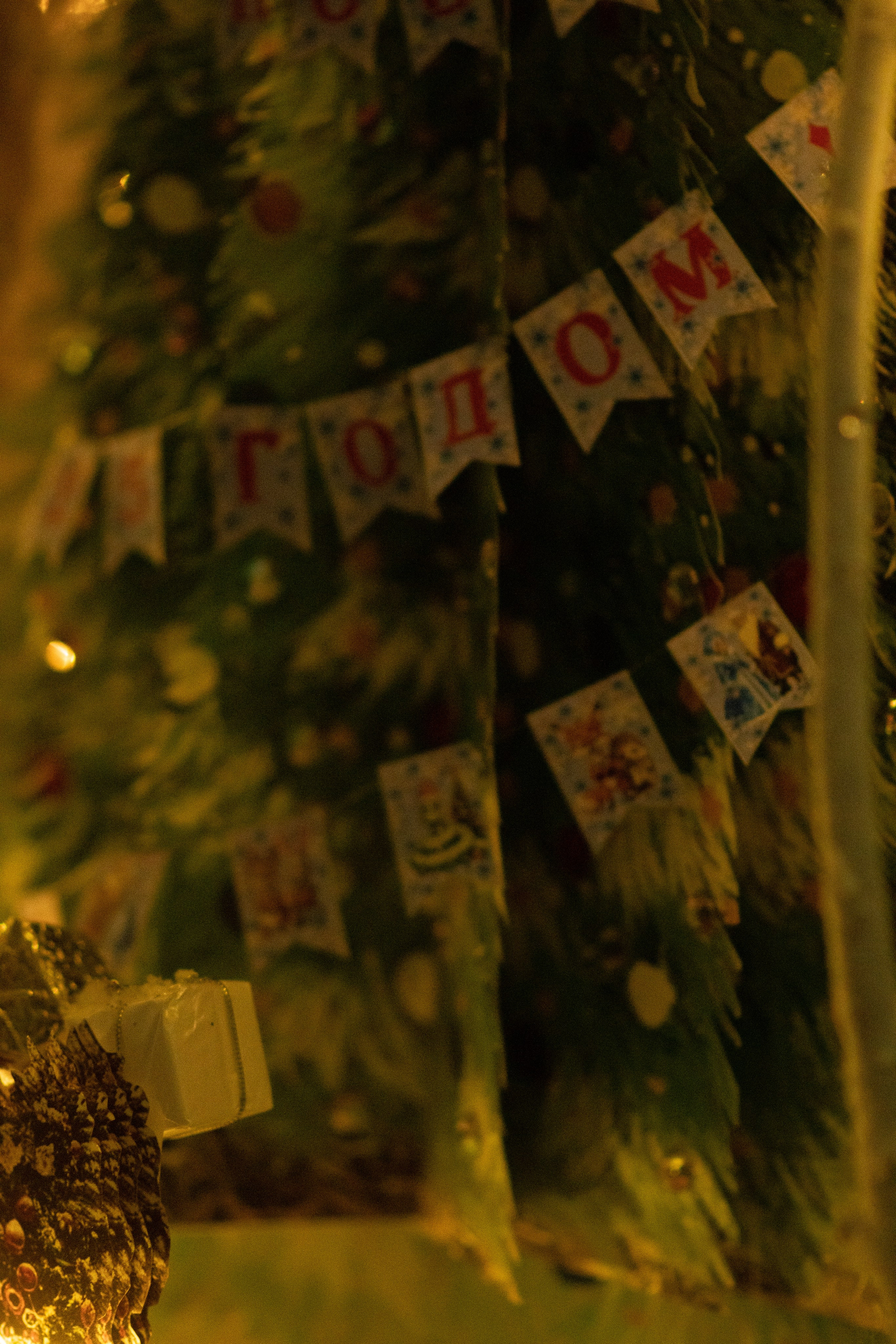 Проект. Семейный и детский фотограф