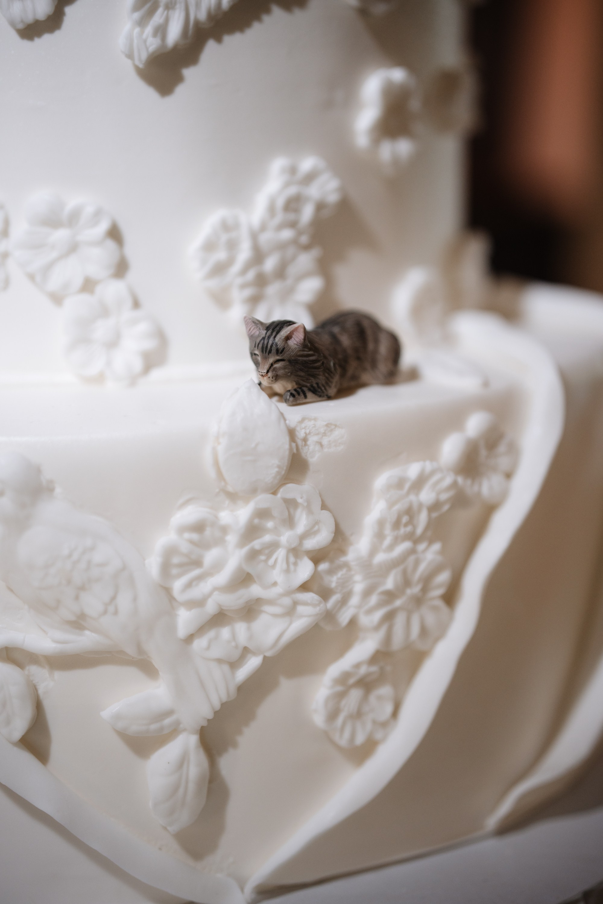 Oct 2025- Hanna and Johnathan’s wedding. Portrait and wedding photographer in New York