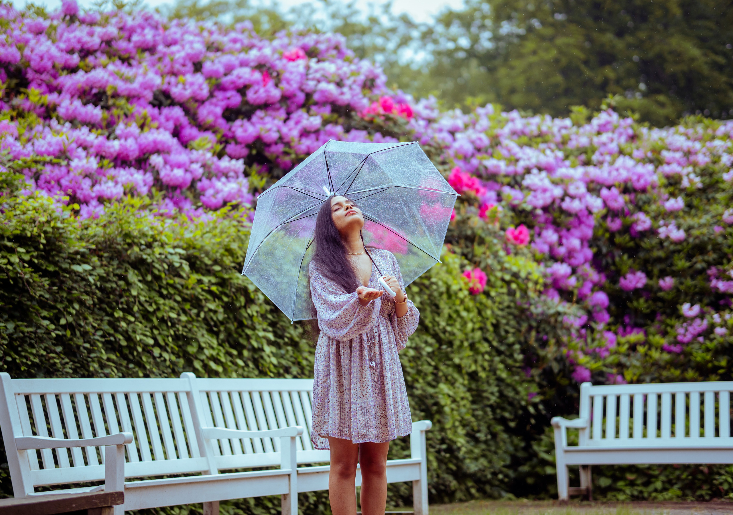 woman standing in a flower park near white wooden bench and holding a transparent umbrella 