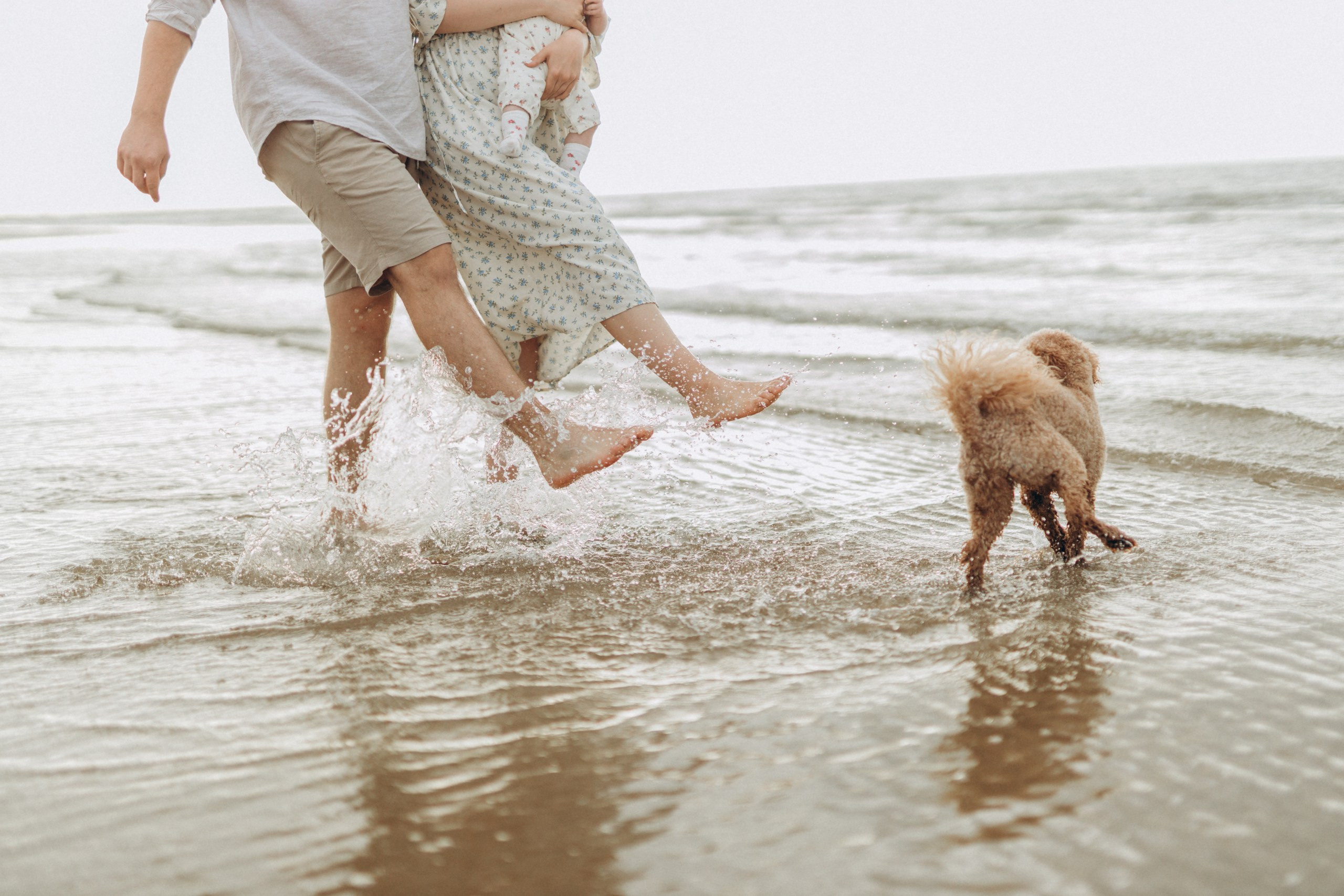 Olivia, Dana, Roland & Lola. AlinaLazurko.uk | Professional portrait photographer