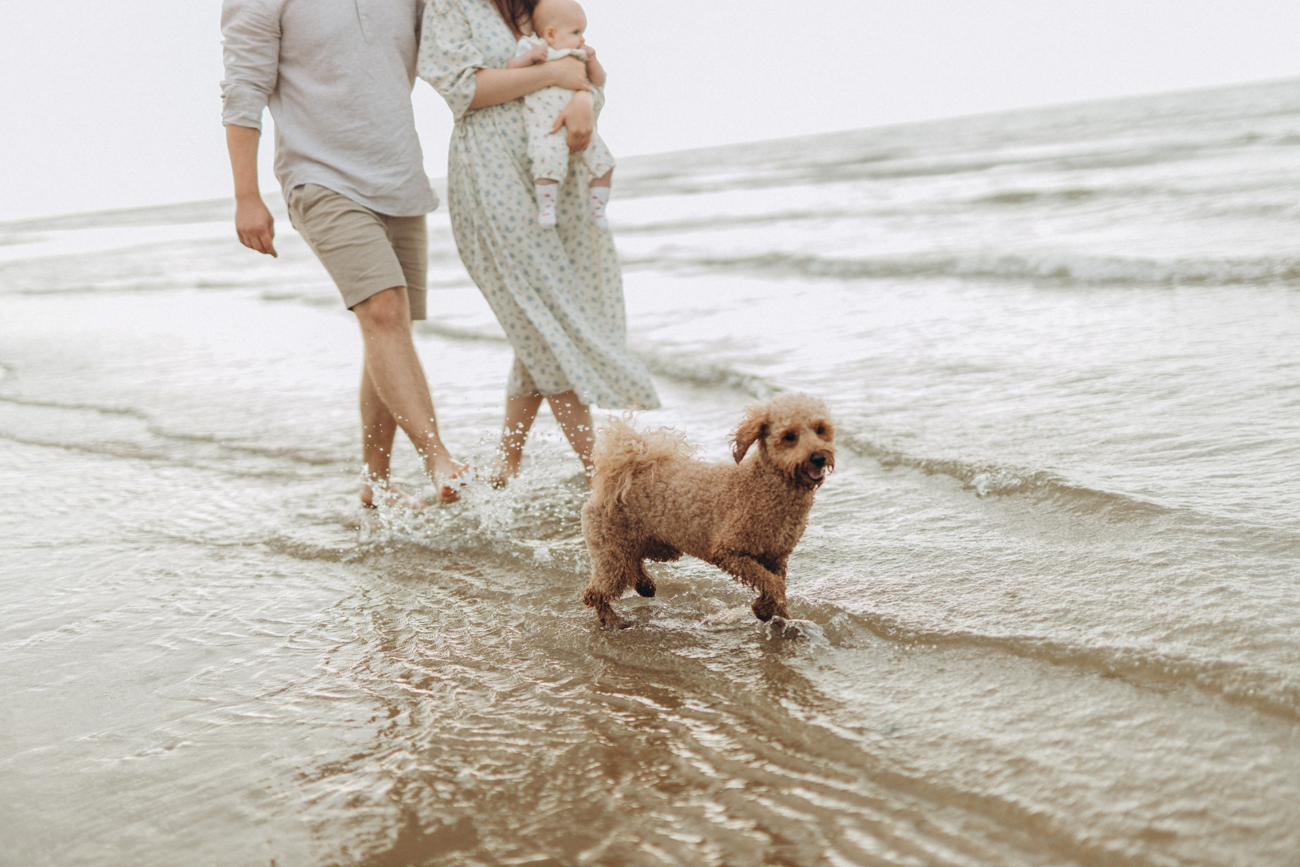 Olivia, Dana, Roland & Lola. AlinaLazurko.uk | Professional portrait photographer