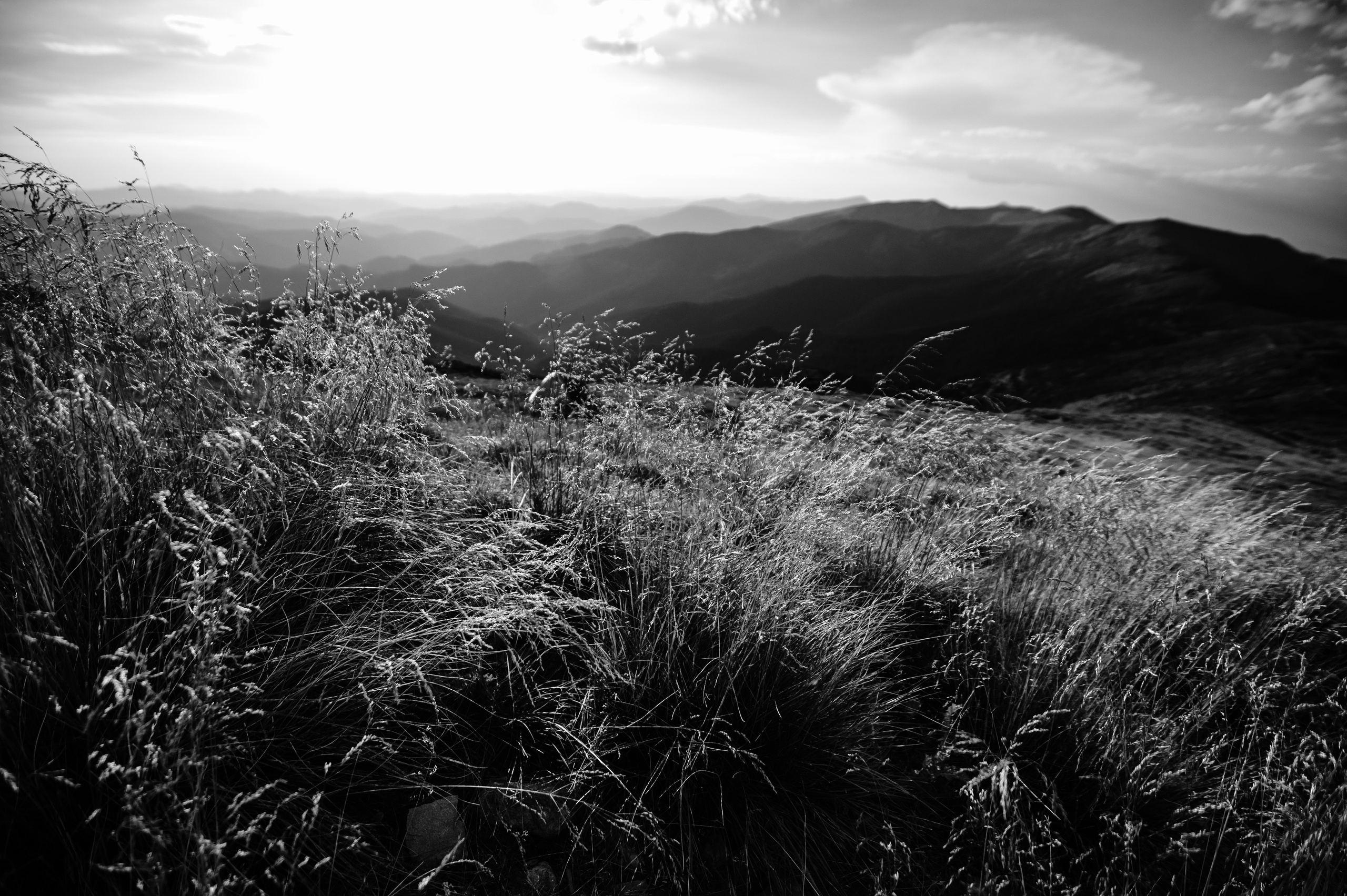 Неоопера-жах «HAMLET» Вільяма Шекспіра. Піп-Іван. Весільний та портретний фотограф Кизим Арсен