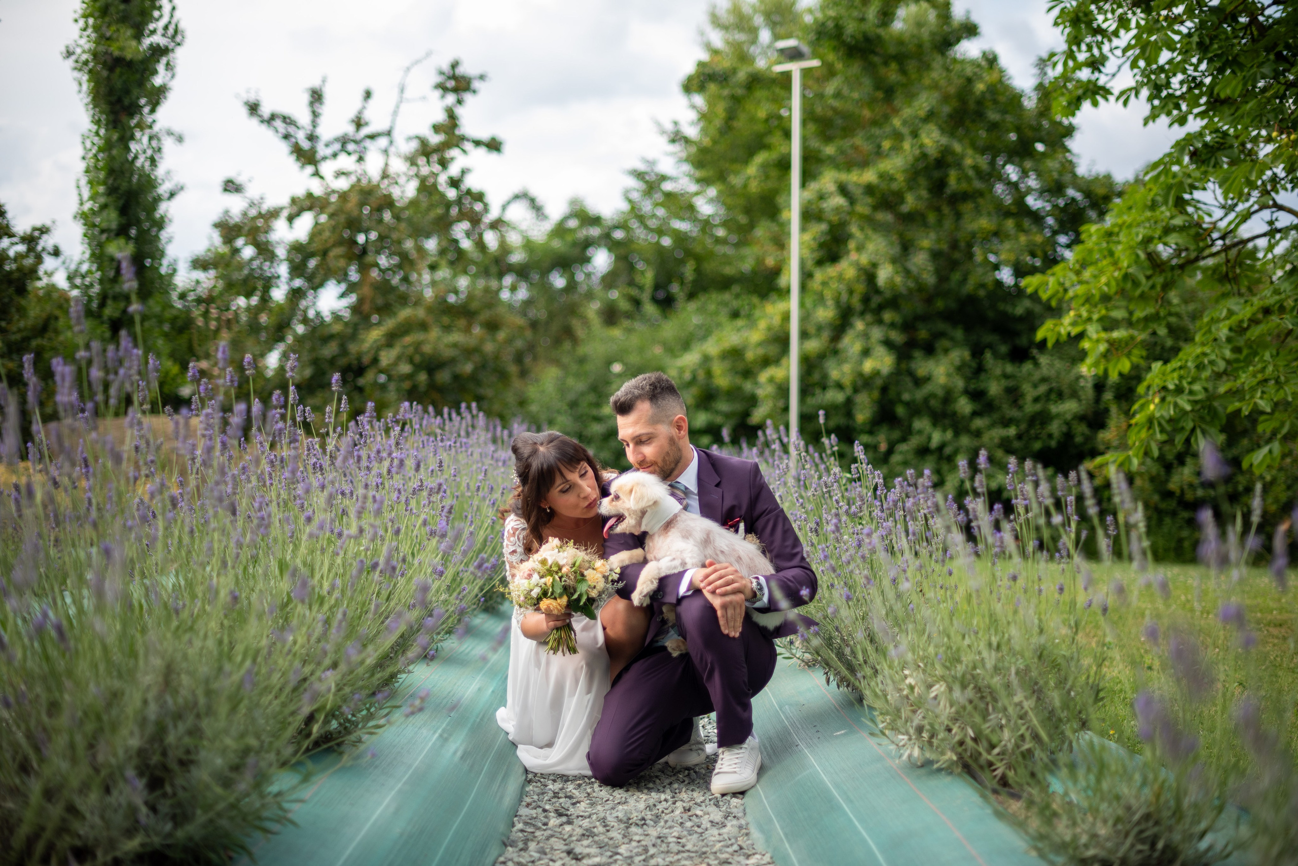 Selectie. Daniel Rotaru Photography