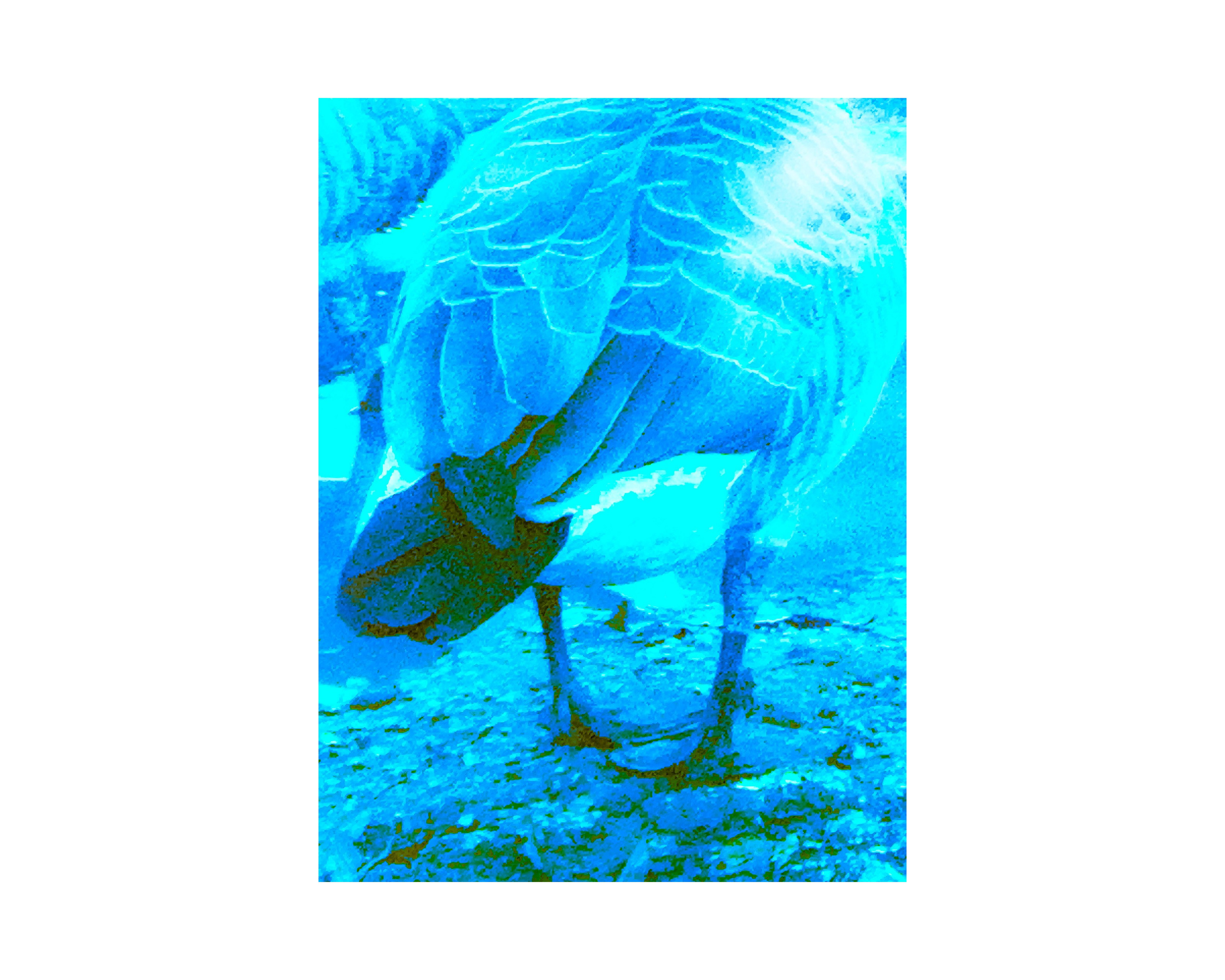 Nature from Exaggerated Worlds. Ekaterina Tsurkina-Appina Photography Canada