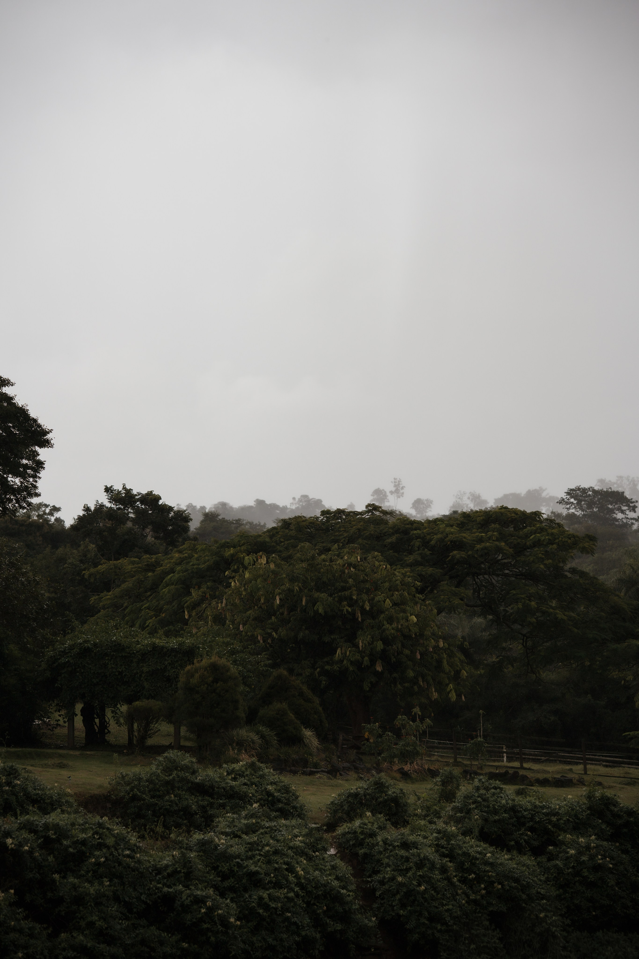 Ensaio Pré-Wedding com Cavalo em Minas Gerais | Sara e Rafael. Edu e Josi Fotografia de Casamento em Belo Horizonte | Fotos Naturais