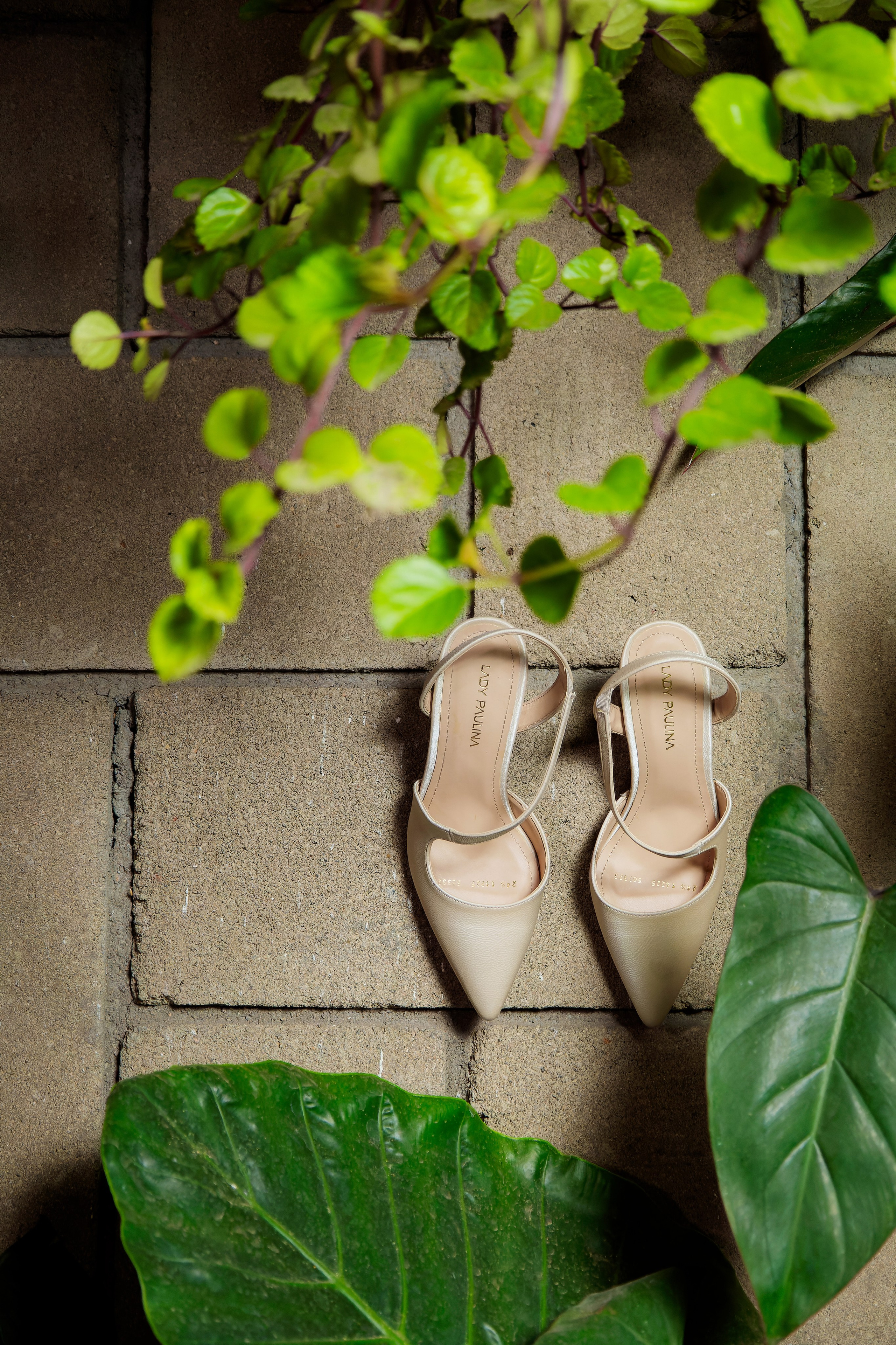 Fotos de boda. Emilianofilms