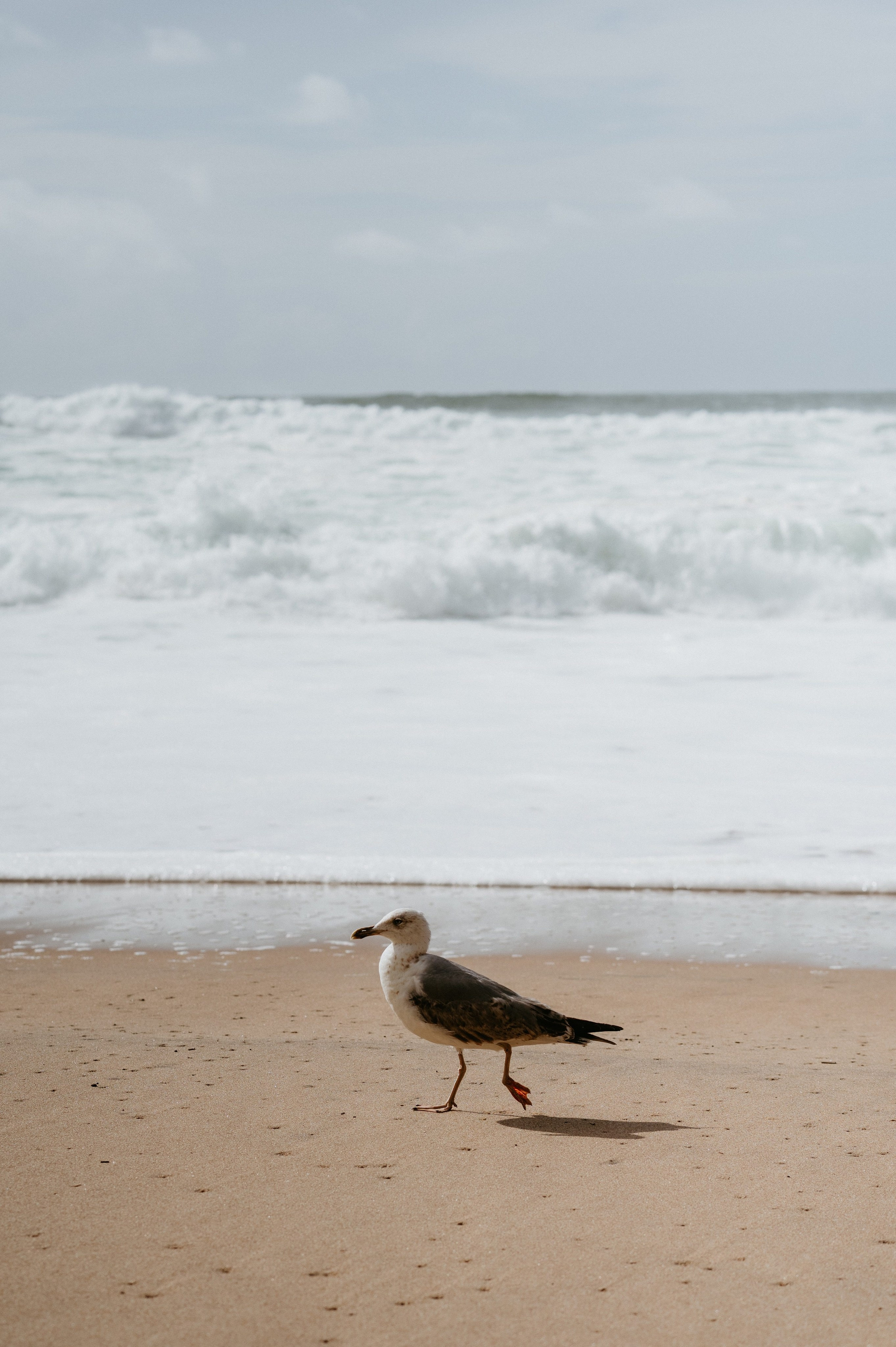 Ședință foto de nuntă pe plaja Adraga – emoție la malul oceanului Atlantic. Valentin Melen - fotograf de nunta 🤍