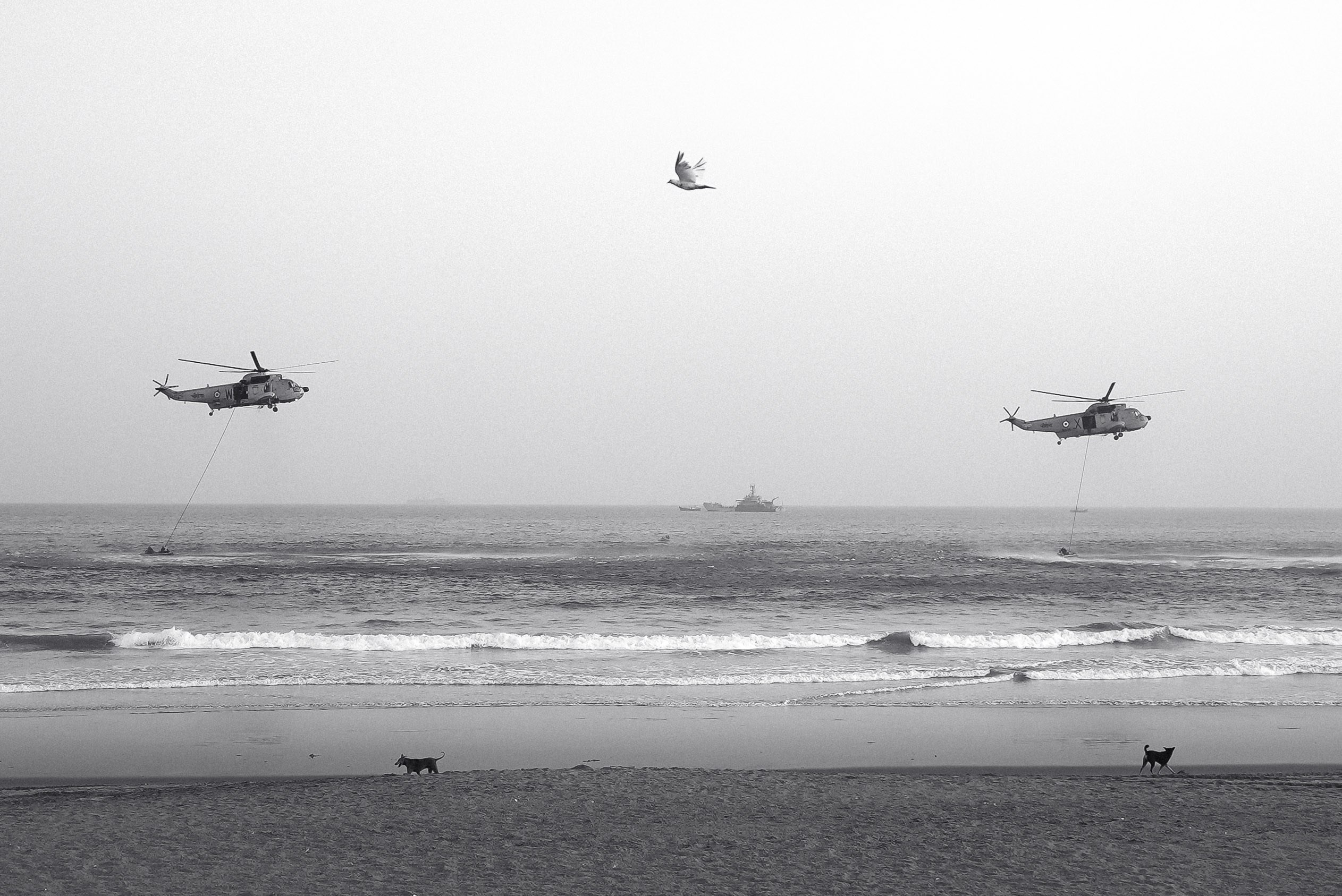 Aviation. Portfolio By Nikhil