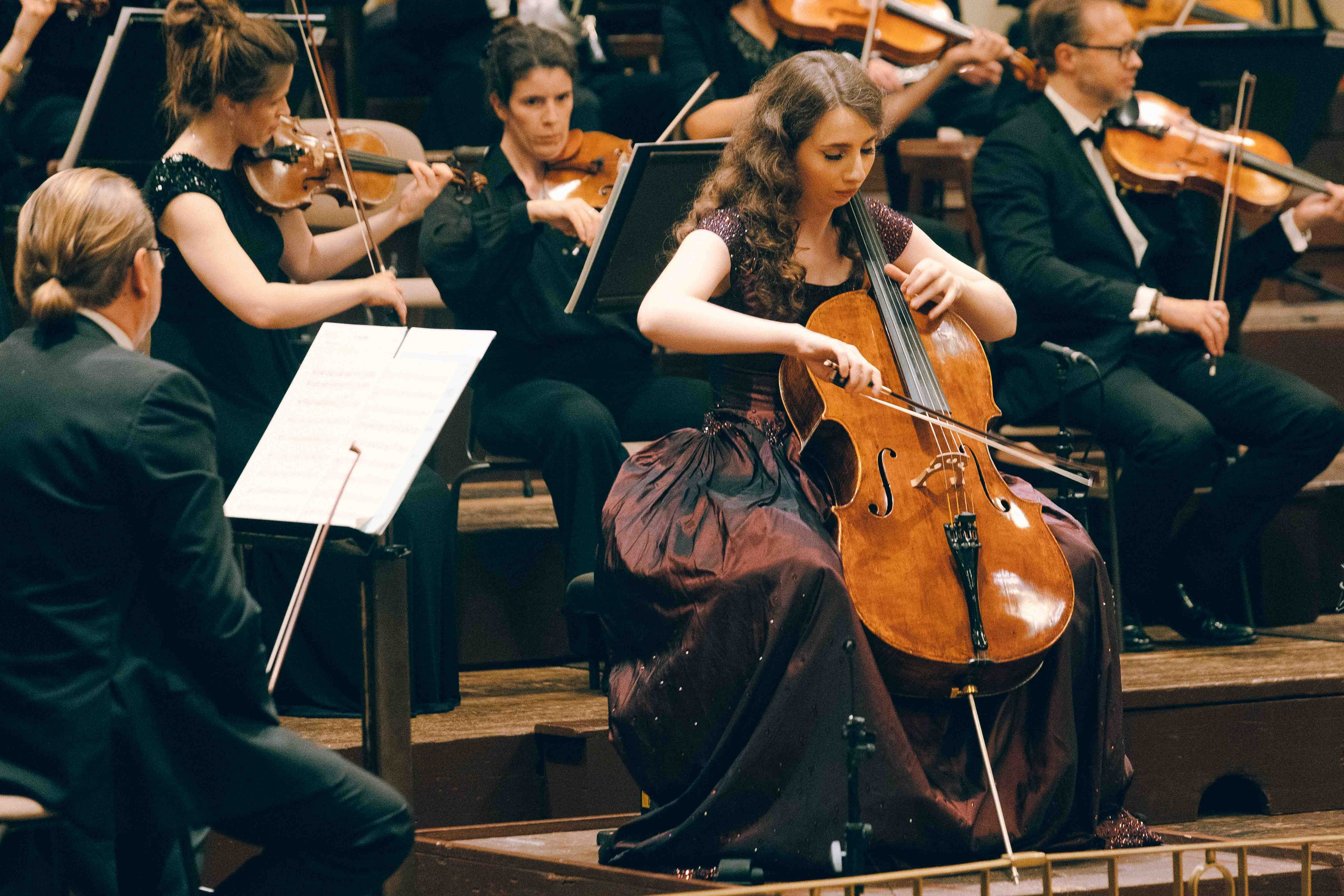 MUSIKVEREIN (VIENNA). Wedding&Event photographer Ismail Rzayev in Baku