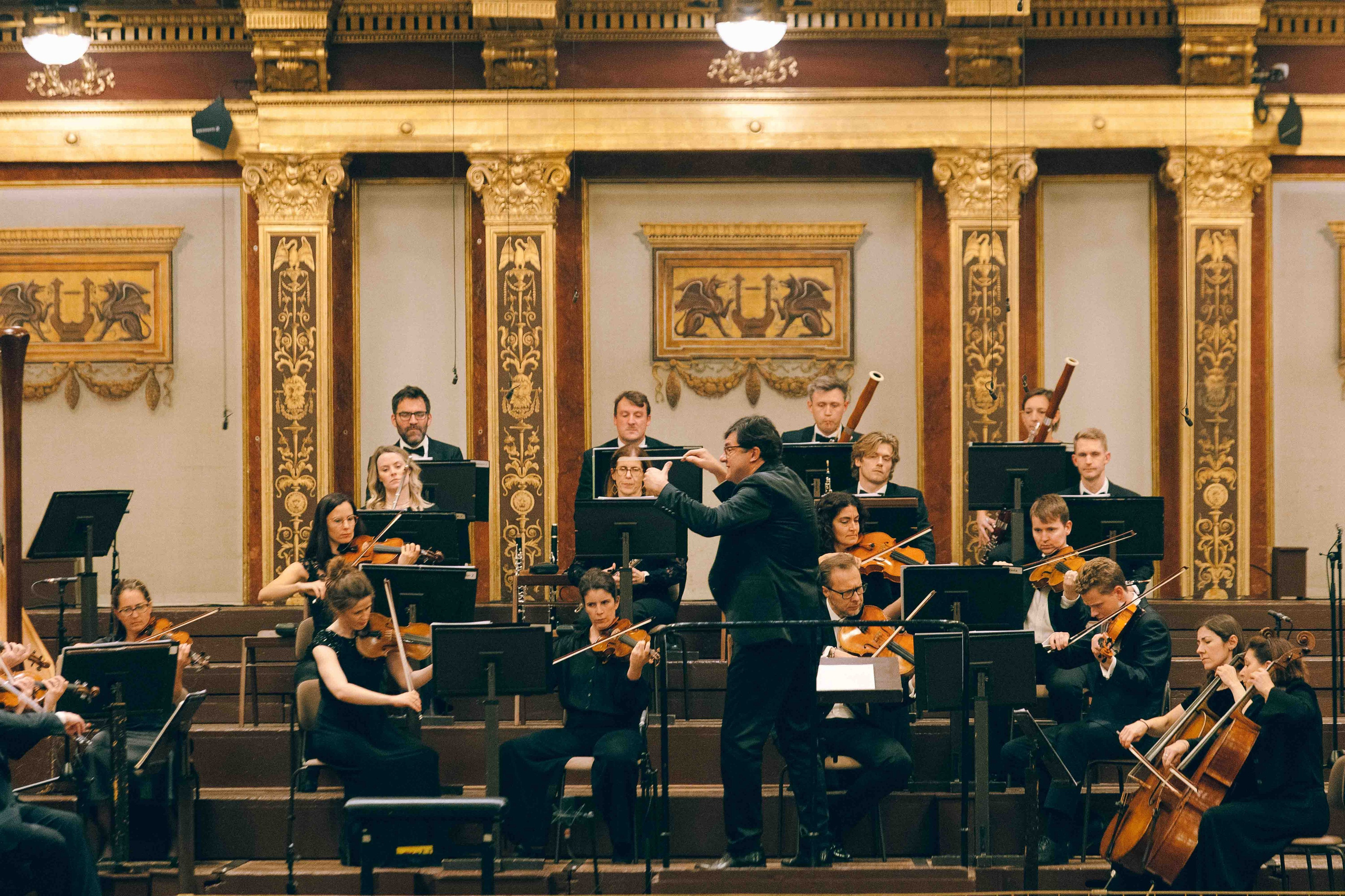 MUSIKVEREIN (VIENNA). Wedding&Event photographer Ismail Rzayev in Baku