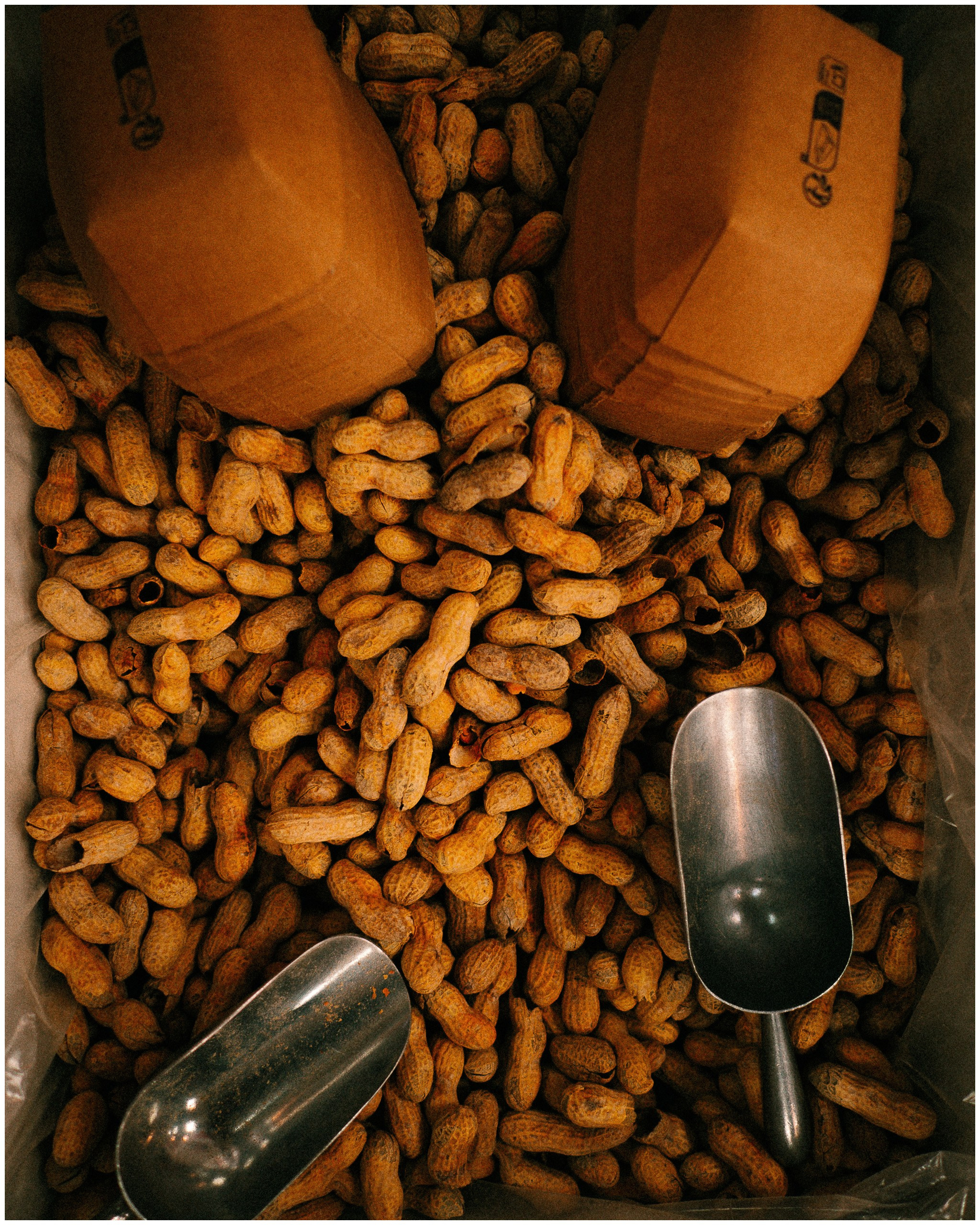 BARCELONA. Inna Mendelson — Photographer