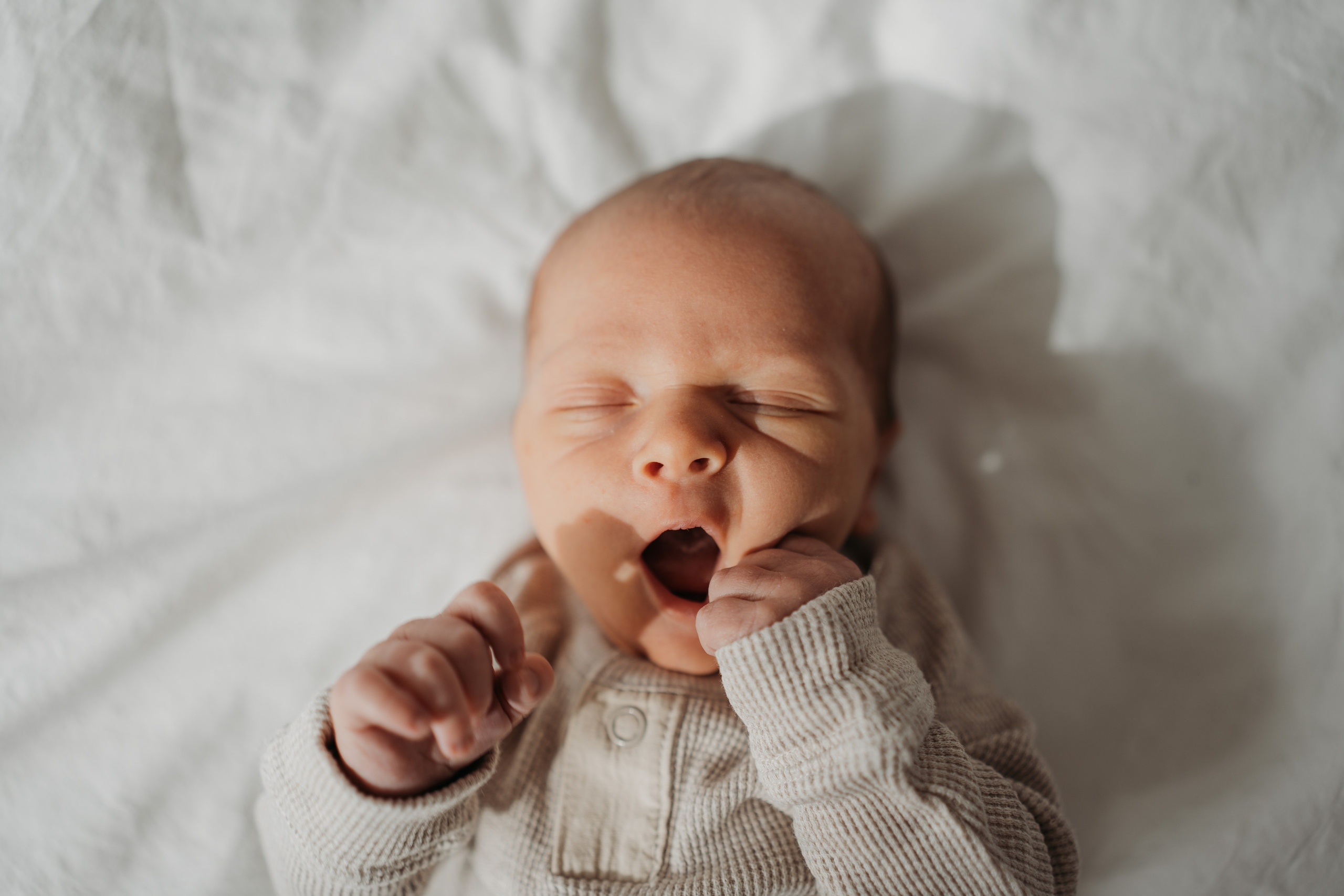 Лео и Соня (10 дней и 5 лет). Фотограф новорожденных и детей первого года Евгения Михалькевич