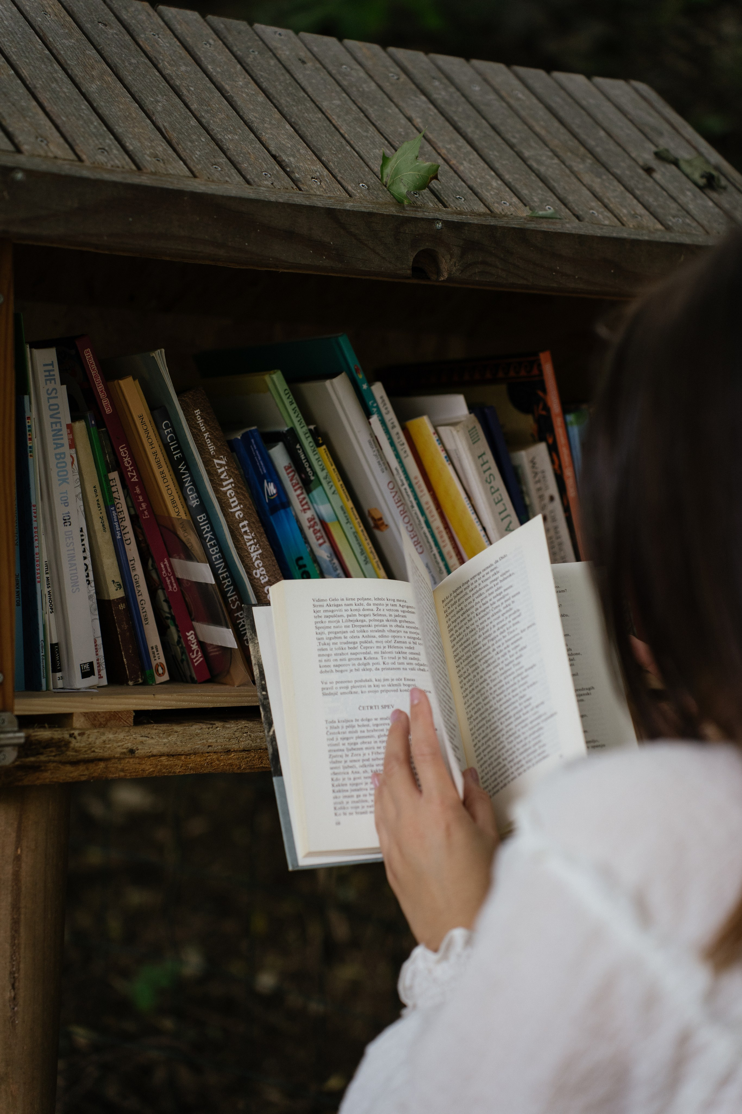 Mood. Patricia Morenci — Mountain Adventures for the Wild at Heart