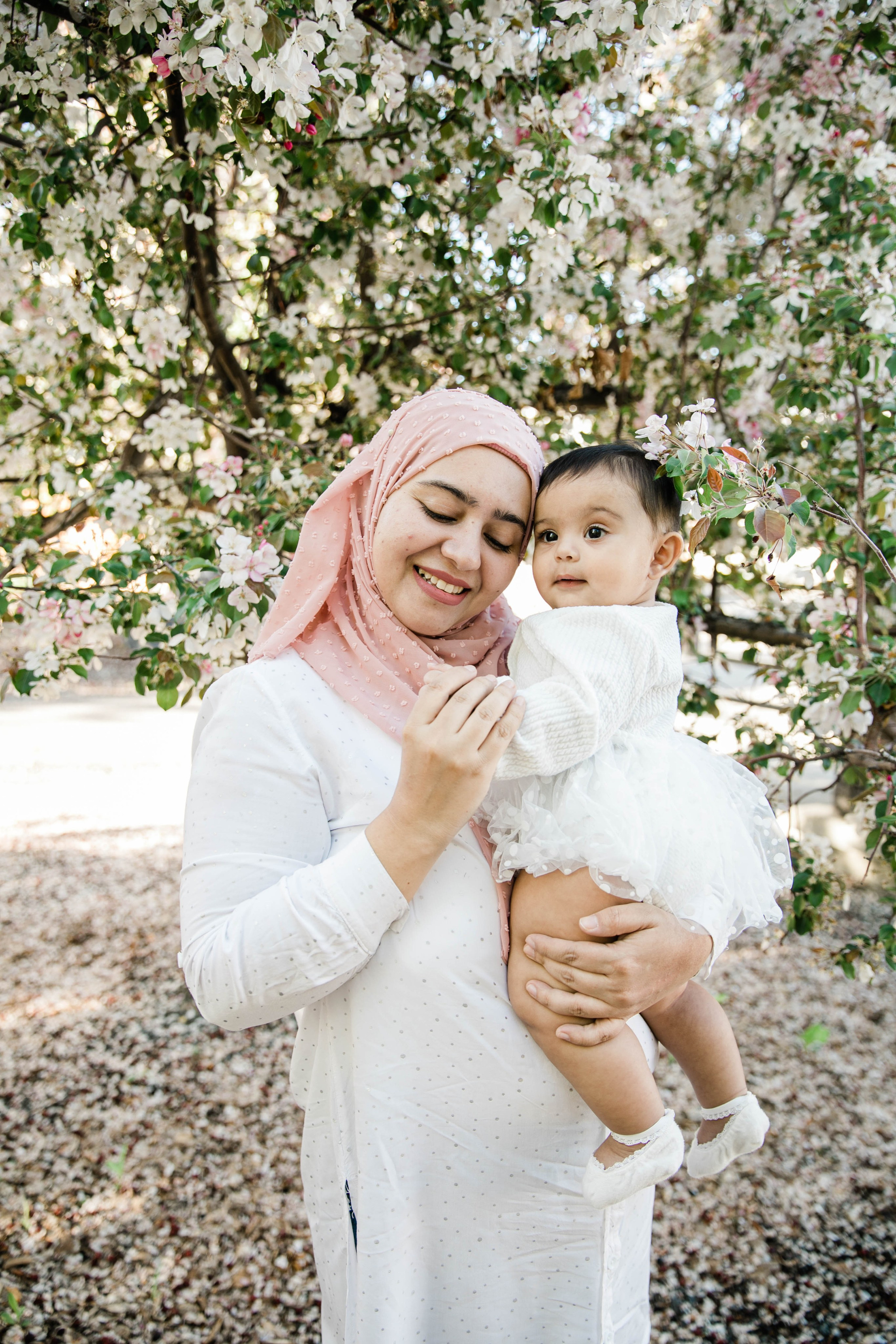Cherry Blossom — Nabeel Family. Ching Li Photography