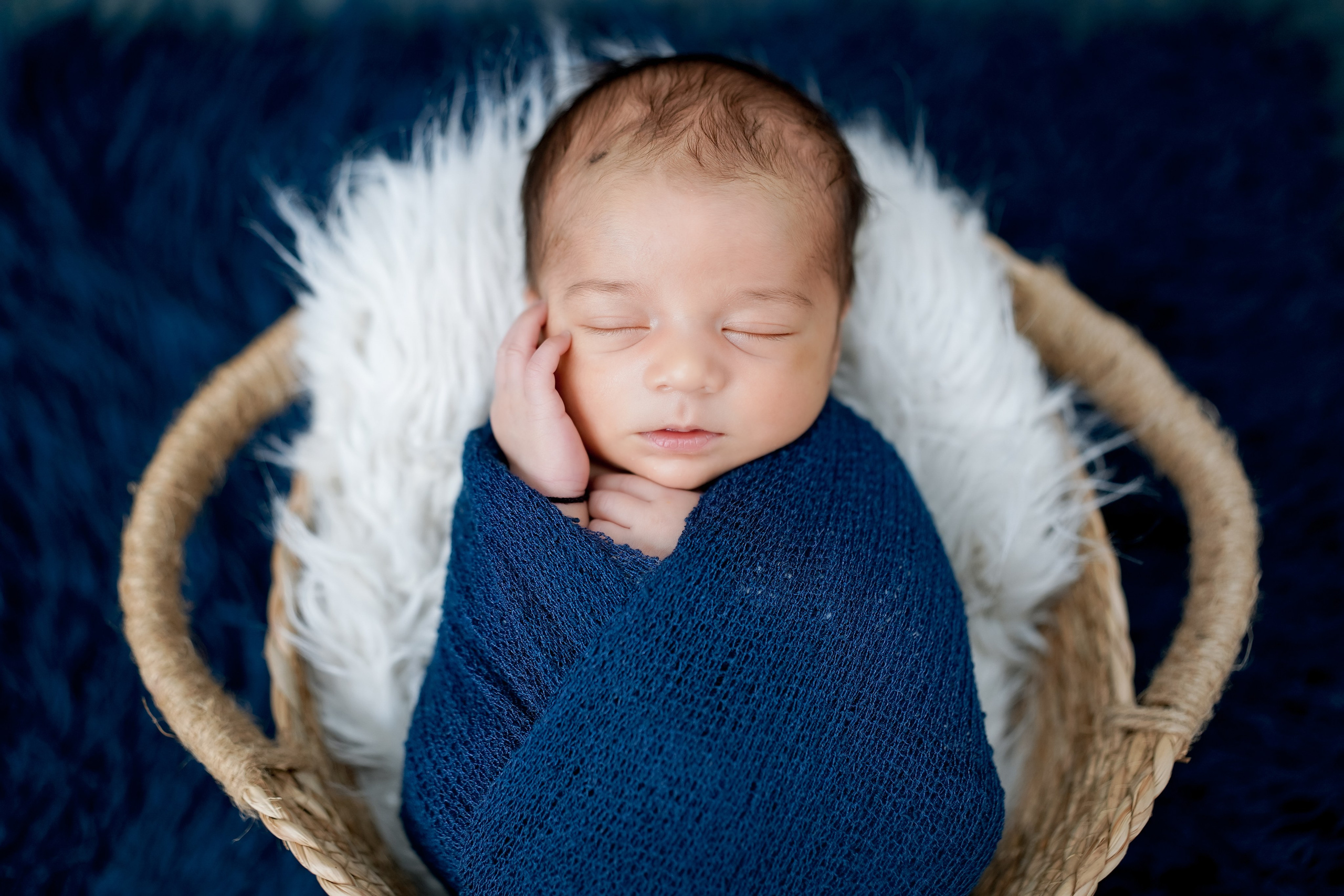 New born. TNF photo & filming