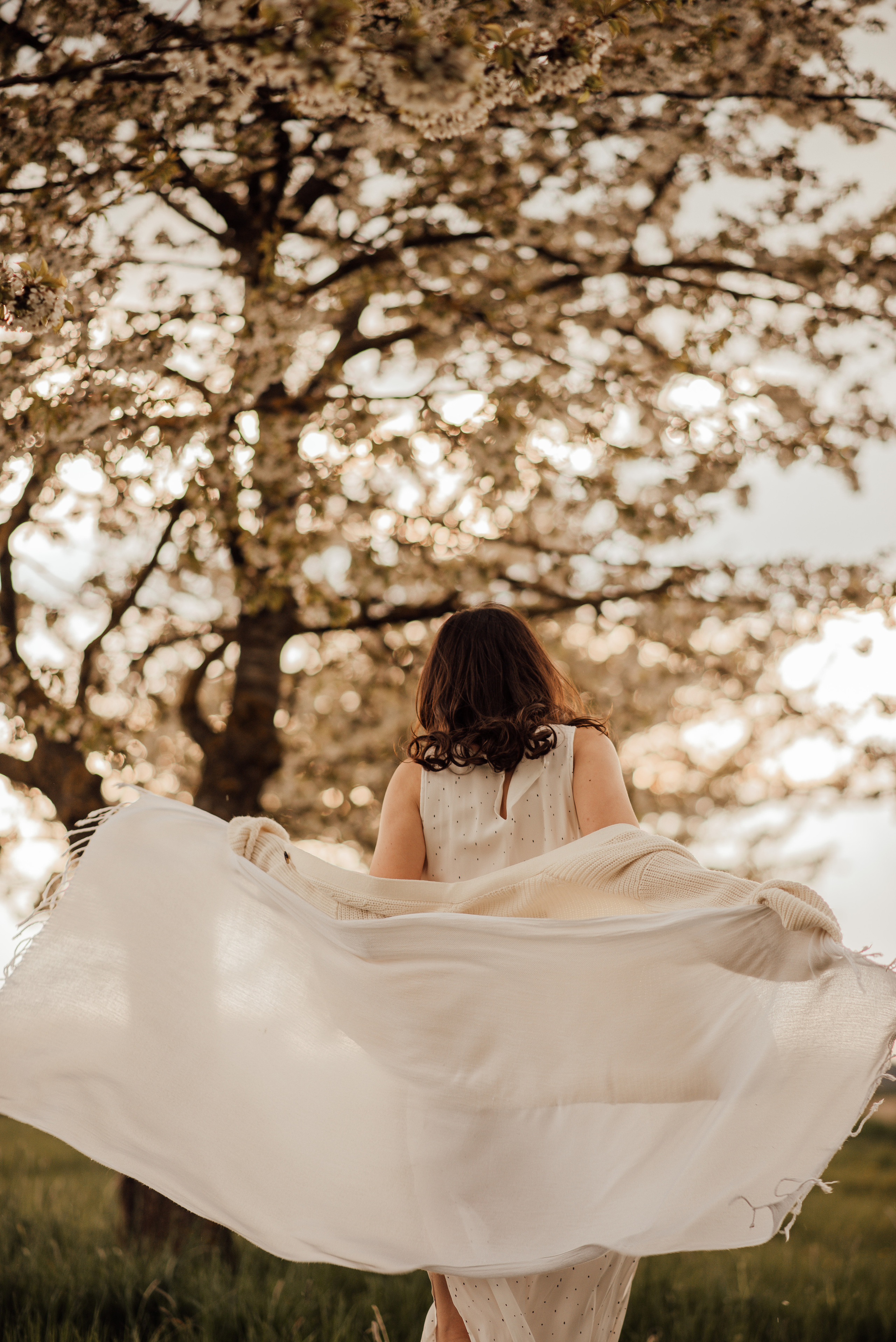 SUNSET. Photographer in Nuremberg Irina Mehnert from Ansbach