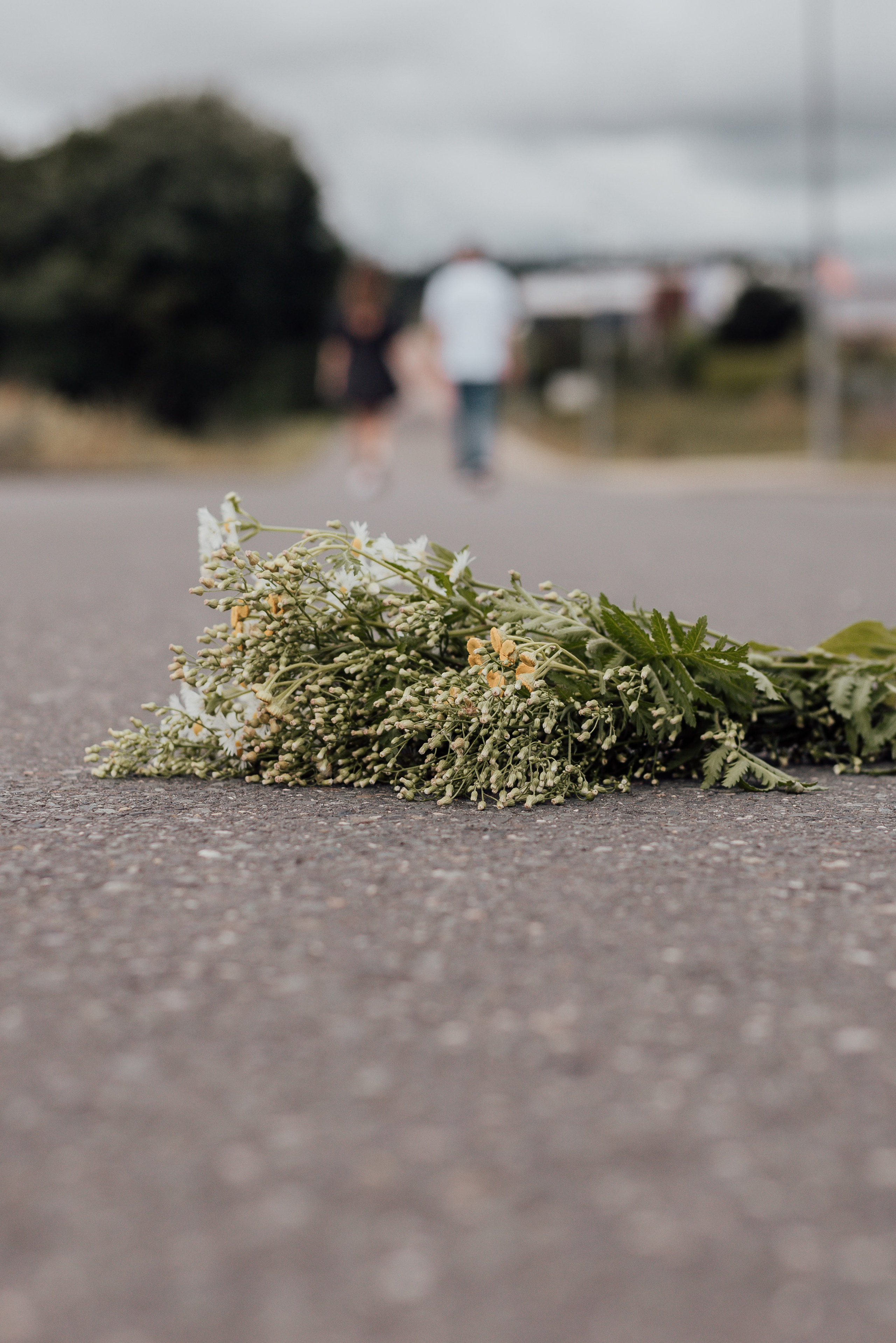 LOVEBIRDS. Photographer in Nuremberg Irina Mehnert from Ansbach