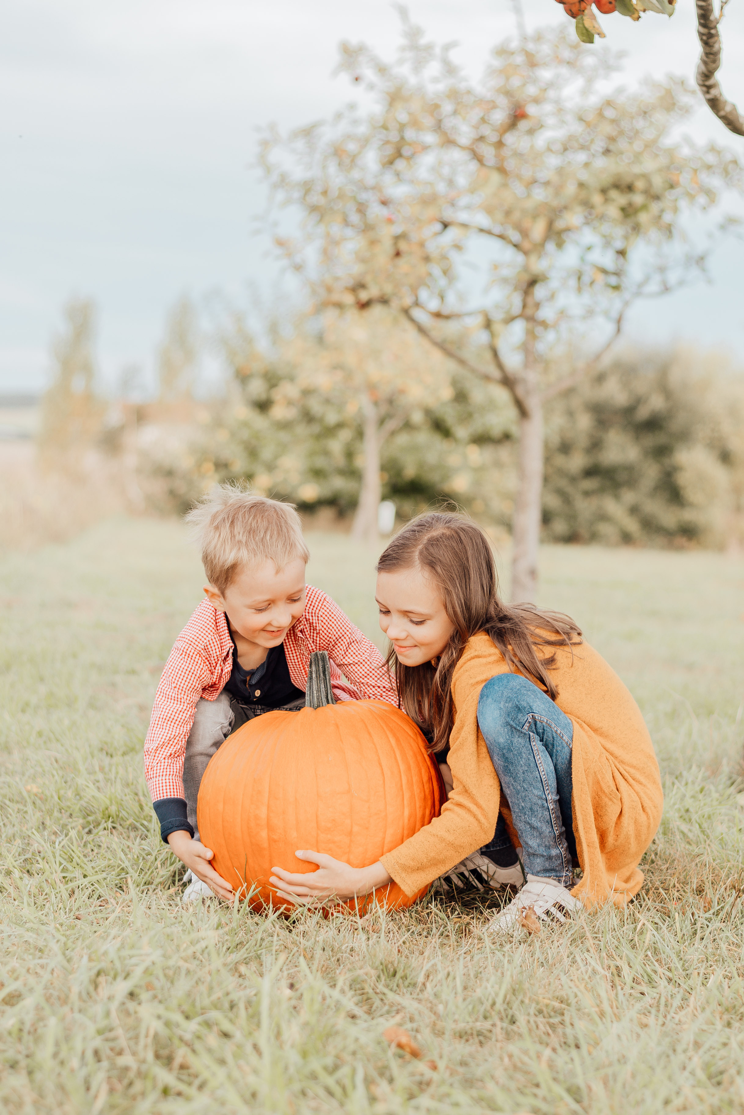 ЯБЛОНИ. Фотограф в Нюрнберге Ирина Менерт из Ансбаха