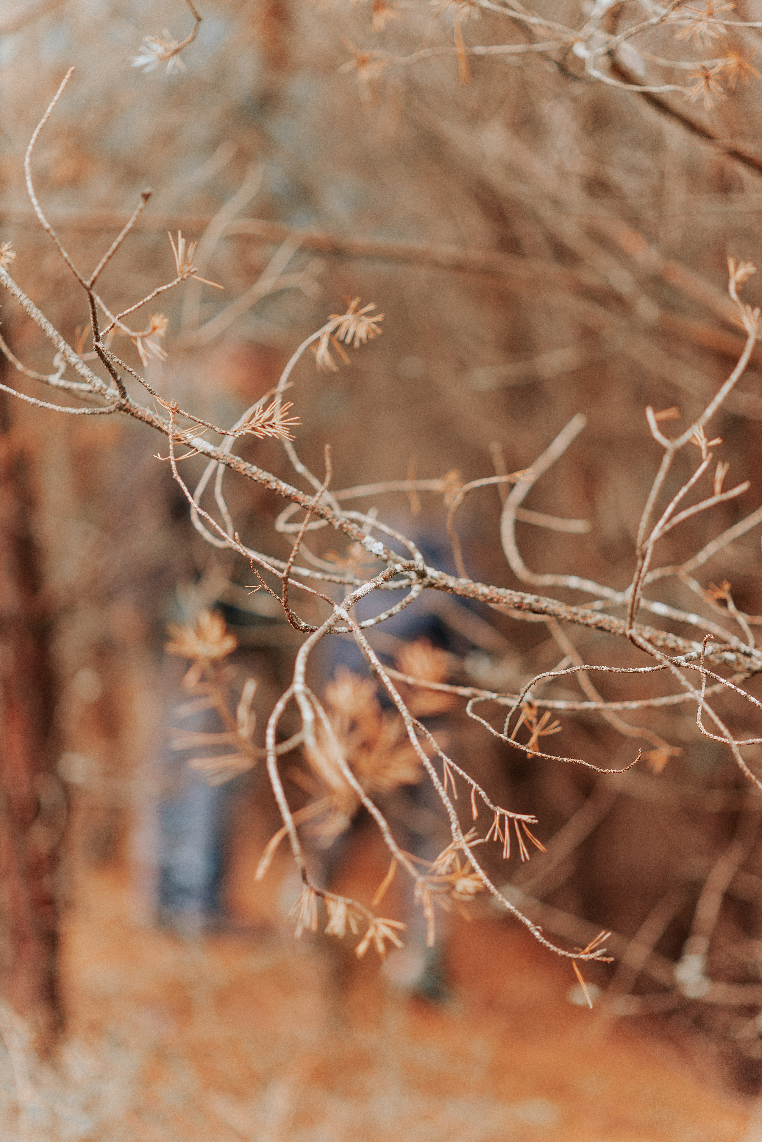 ВРЕМЯ С ПАПОЙ. Фотограф в Нюрнберге Ирина Менерт из Ансбаха