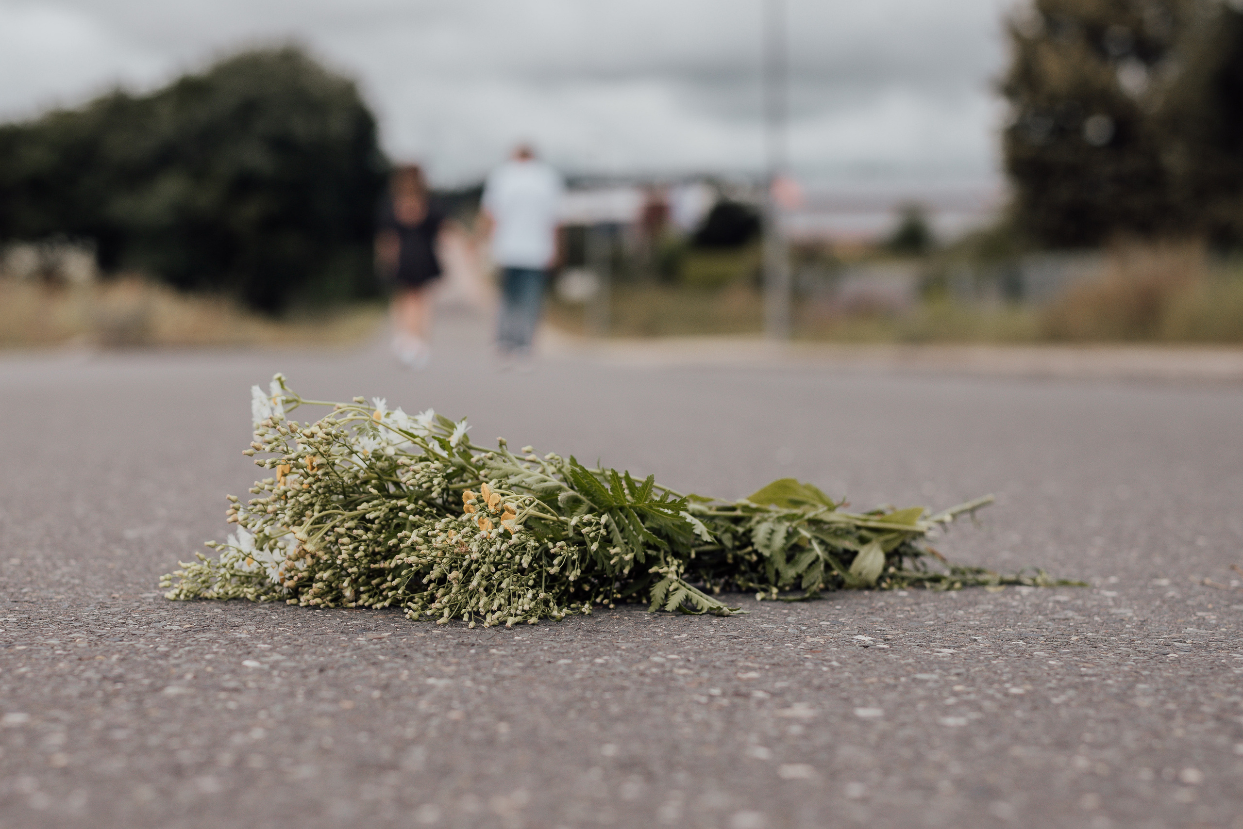 LOVEBIRDS. Photographer in Nuremberg Irina Mehnert from Ansbach