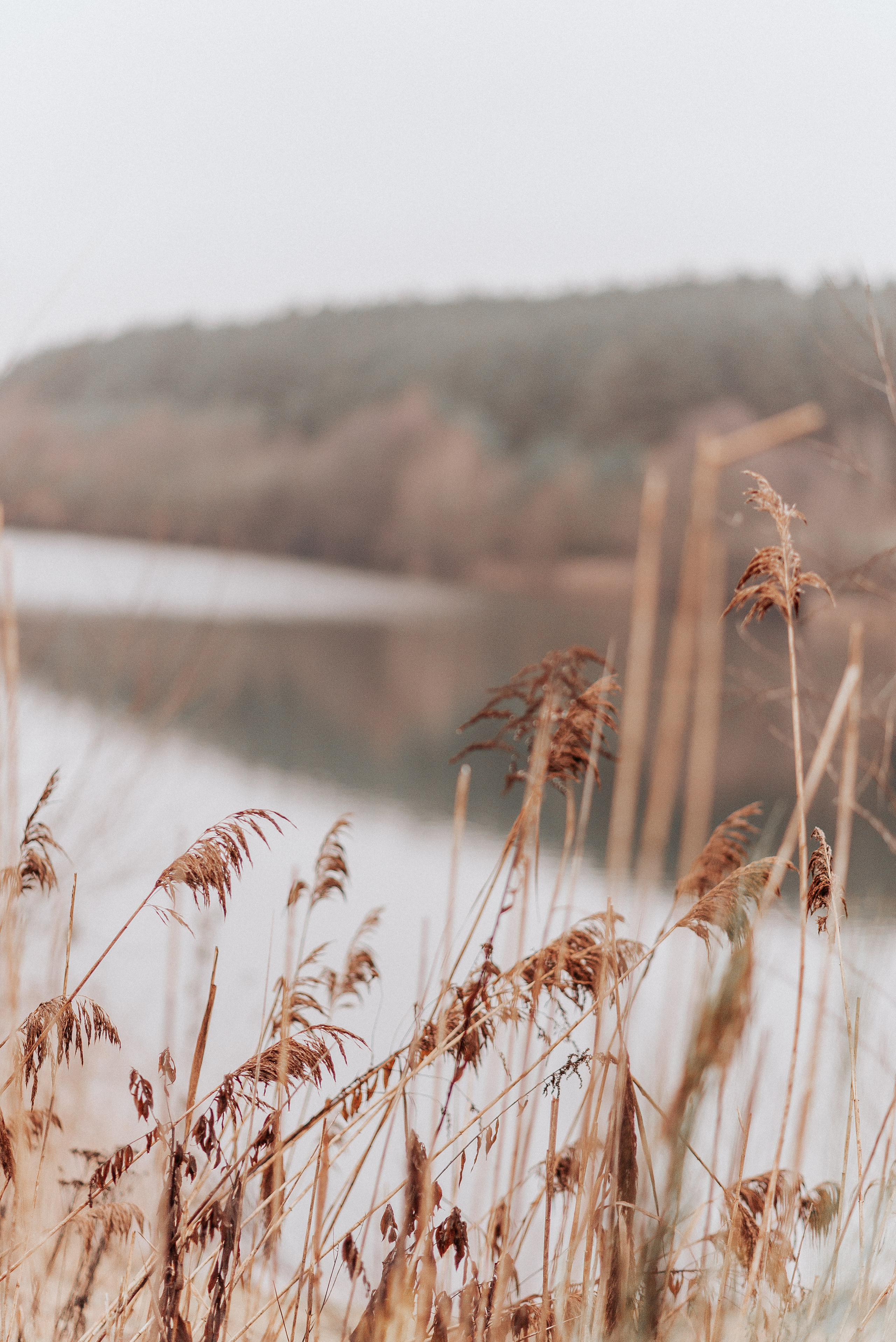 ВРЕМЯ С ПАПОЙ. Фотограф в Нюрнберге Ирина Менерт из Ансбаха