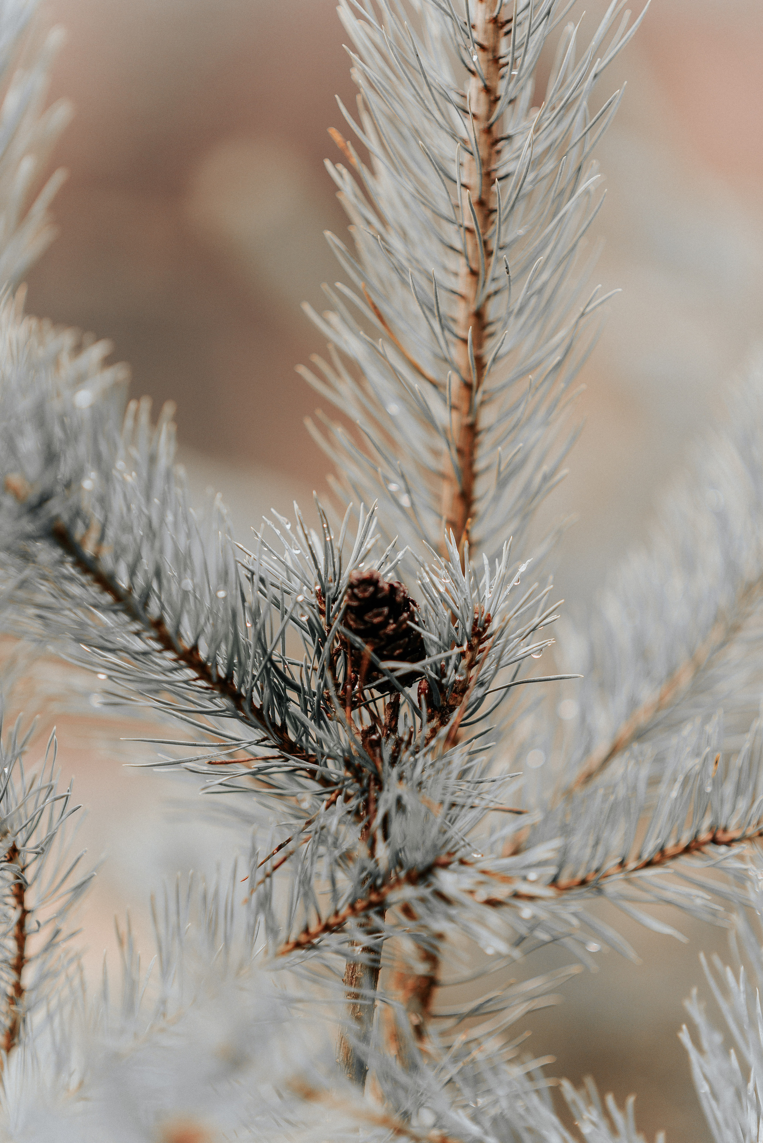 ВРЕМЯ С ПАПОЙ. Фотограф в Нюрнберге Ирина Менерт из Ансбаха