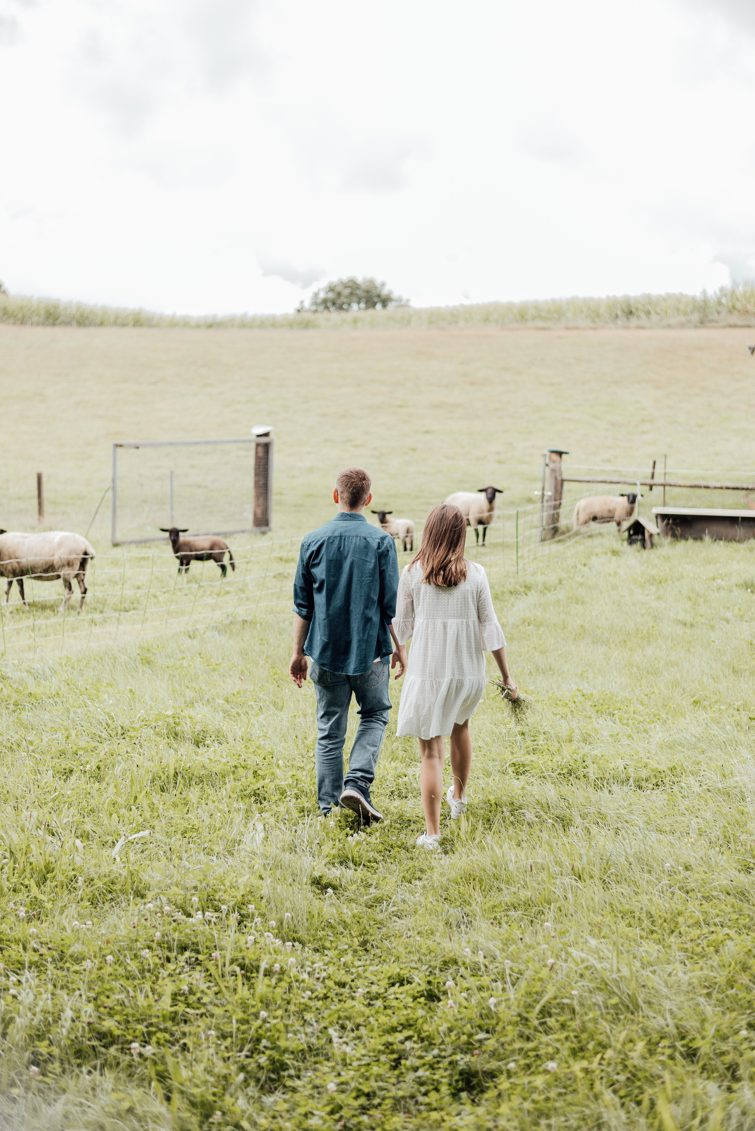 LOVEBIRDS. Photographer in Nuremberg Irina Mehnert from Ansbach