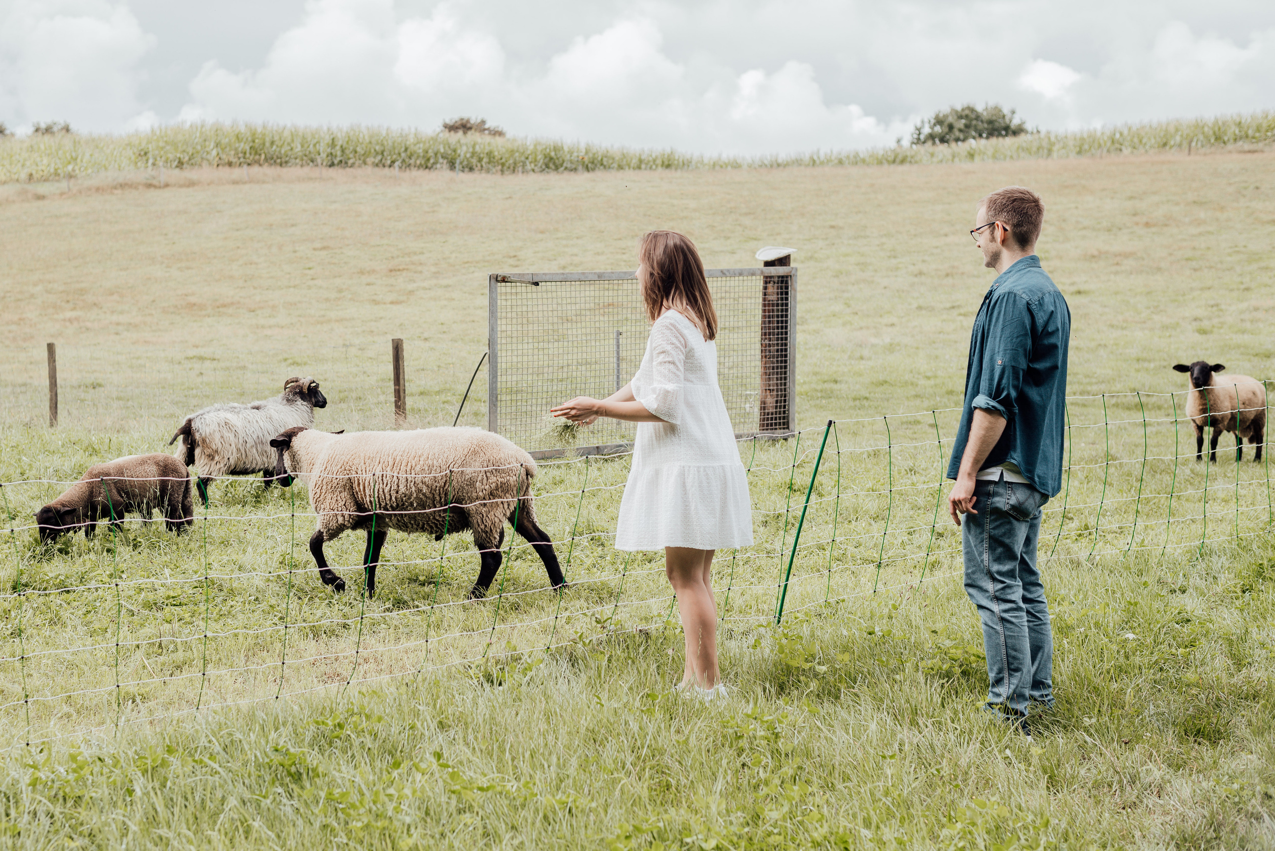 LOVEBIRDS. Photographer in Nuremberg Irina Mehnert from Ansbach