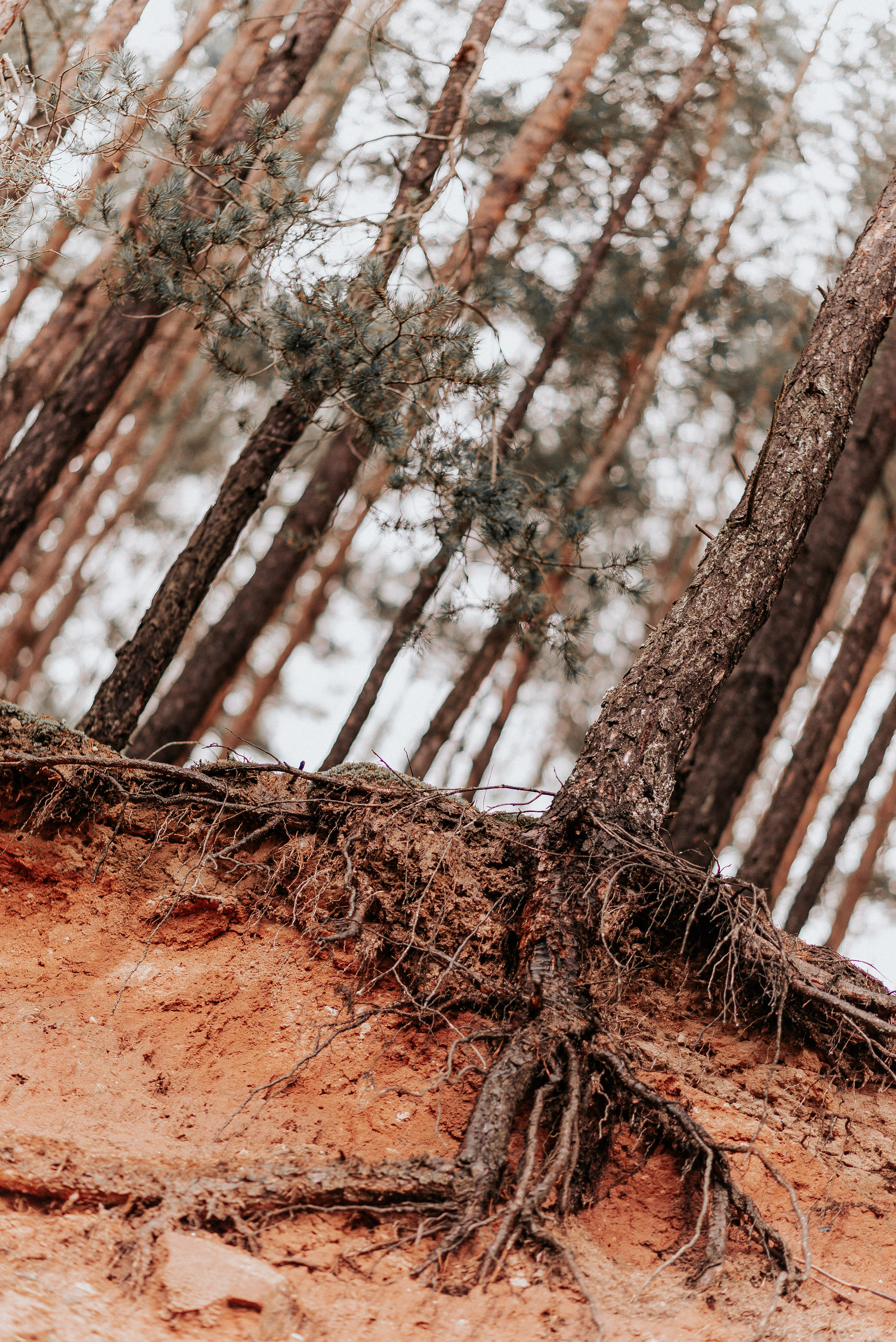ВРЕМЯ С ПАПОЙ. Фотограф в Нюрнберге Ирина Менерт из Ансбаха