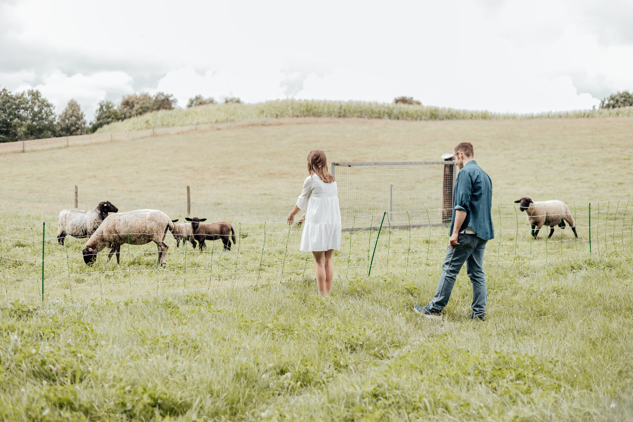 LOVEBIRDS. Photographer in Nuremberg Irina Mehnert from Ansbach