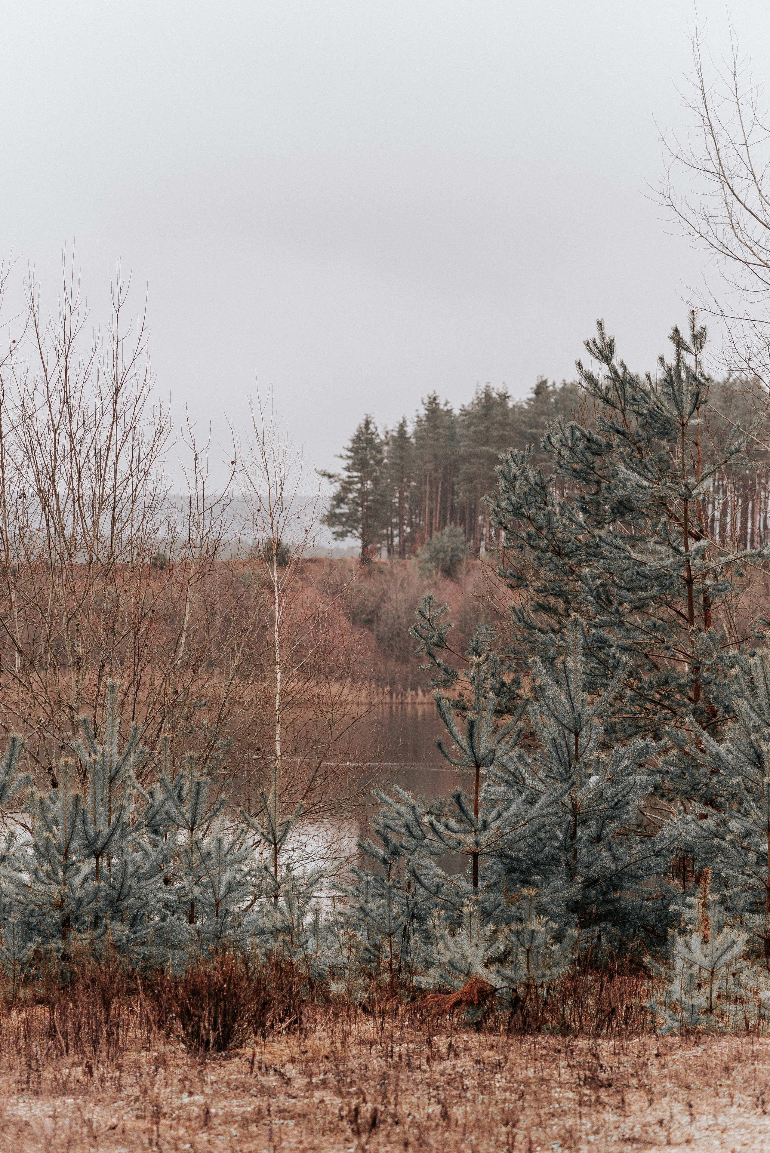 ВРЕМЯ С ПАПОЙ. Фотограф в Нюрнберге Ирина Менерт из Ансбаха