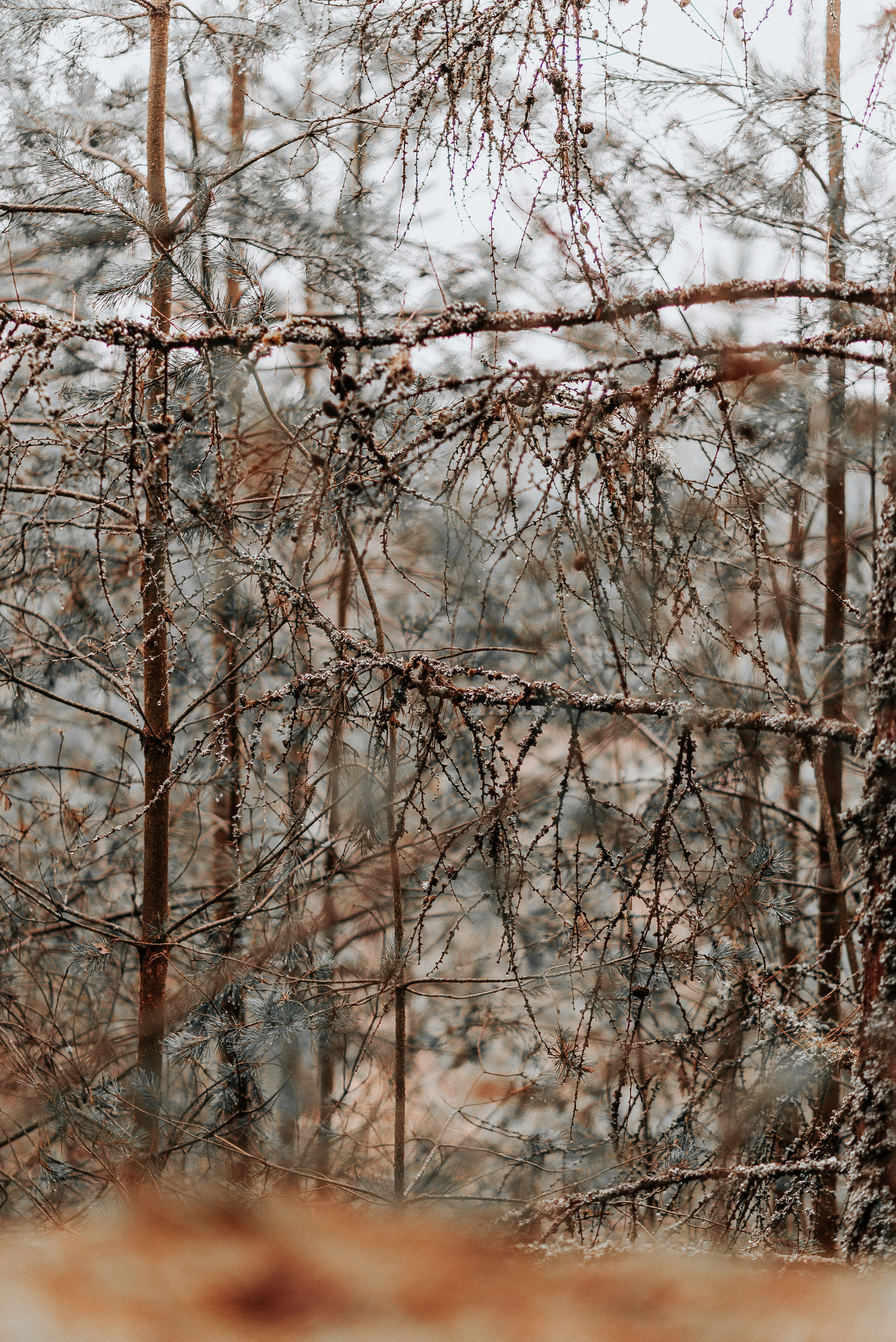 ВРЕМЯ С ПАПОЙ. Фотограф в Нюрнберге Ирина Менерт из Ансбаха